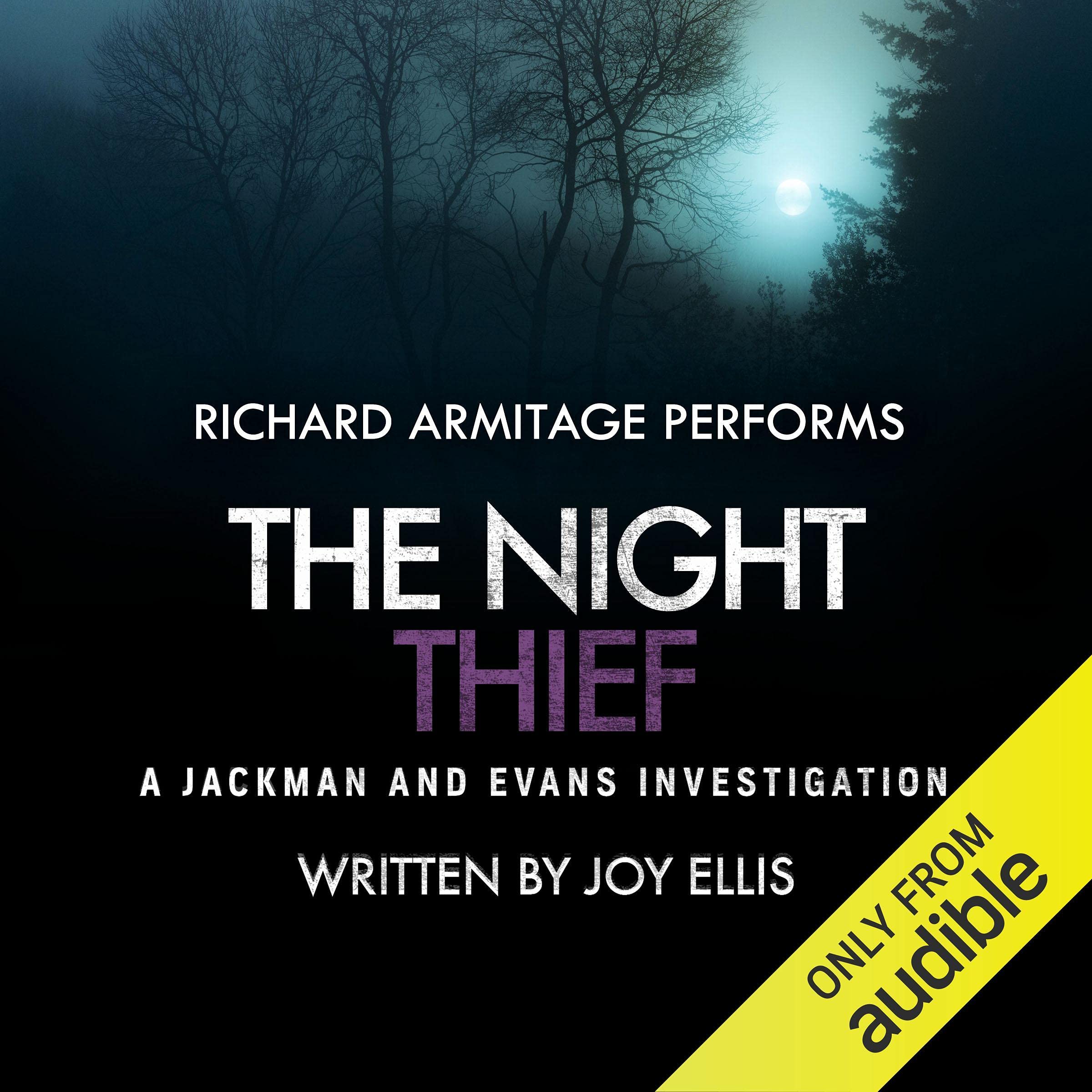 Cover art for The Night Thief