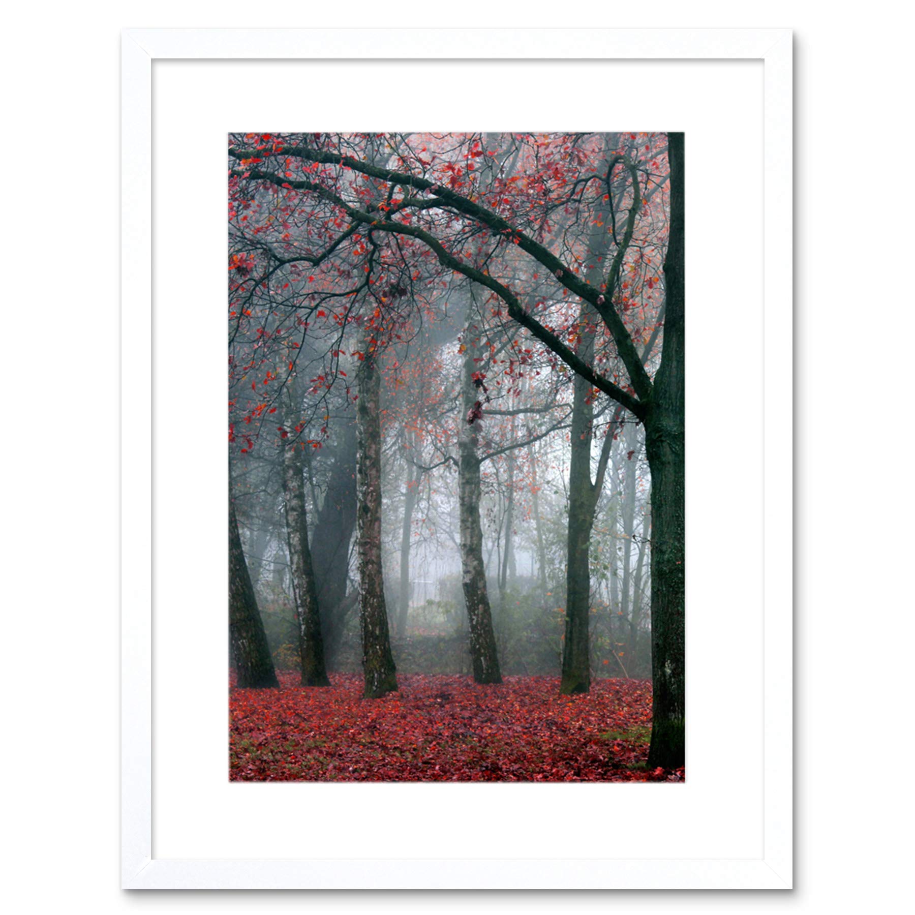 Wee Blue Coo Nature Forest Tree Autumn Fall Beautiful Red Framed Wall Art Print
