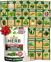 Vista 91 de HOME GROWN Semillas de eneldo sin OMG para plantar 1,014 ramos de semillas de eneldo y semillas de hierbas tradicionales para plantar al aire libre