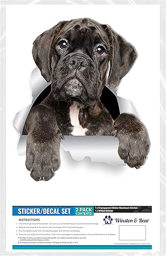 Miniatura 6 de Winston & Bear Adorables calcomanías de pared para perros boxeadores, paquete de 2, calcomanías 3D para paredes, automóviles, inodoro y más, regalos