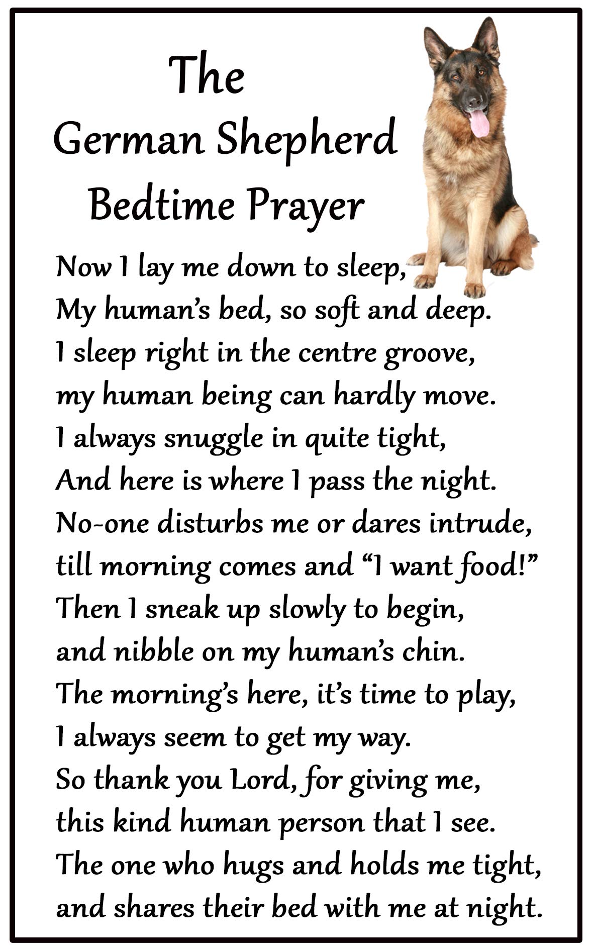 Fridge Magnets German Shepherd Dog - Bedtime Prayer - Large Fun Flexible Fridge Magnet- Size 16Cms X 10 Cms (Approx. 6" X4")