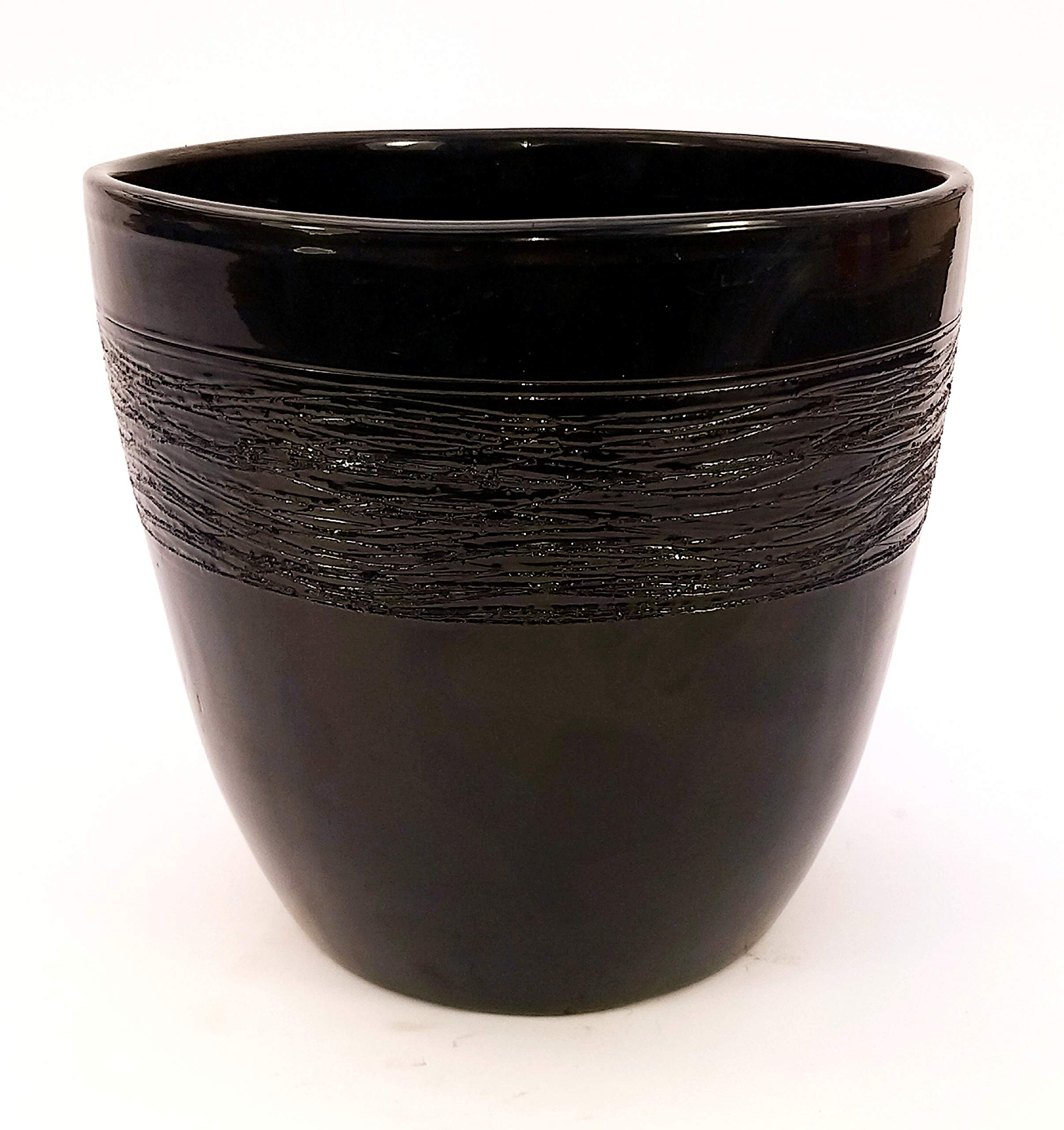 POWERS TO FLOWERS - EUPHORBIA VULCANA ERITREA, SPINA DI CRISTO, CACTUS DEL FREDDO IN VASO CERAMICA NERO, vaso 30cm altezza 130cm, pianta vera