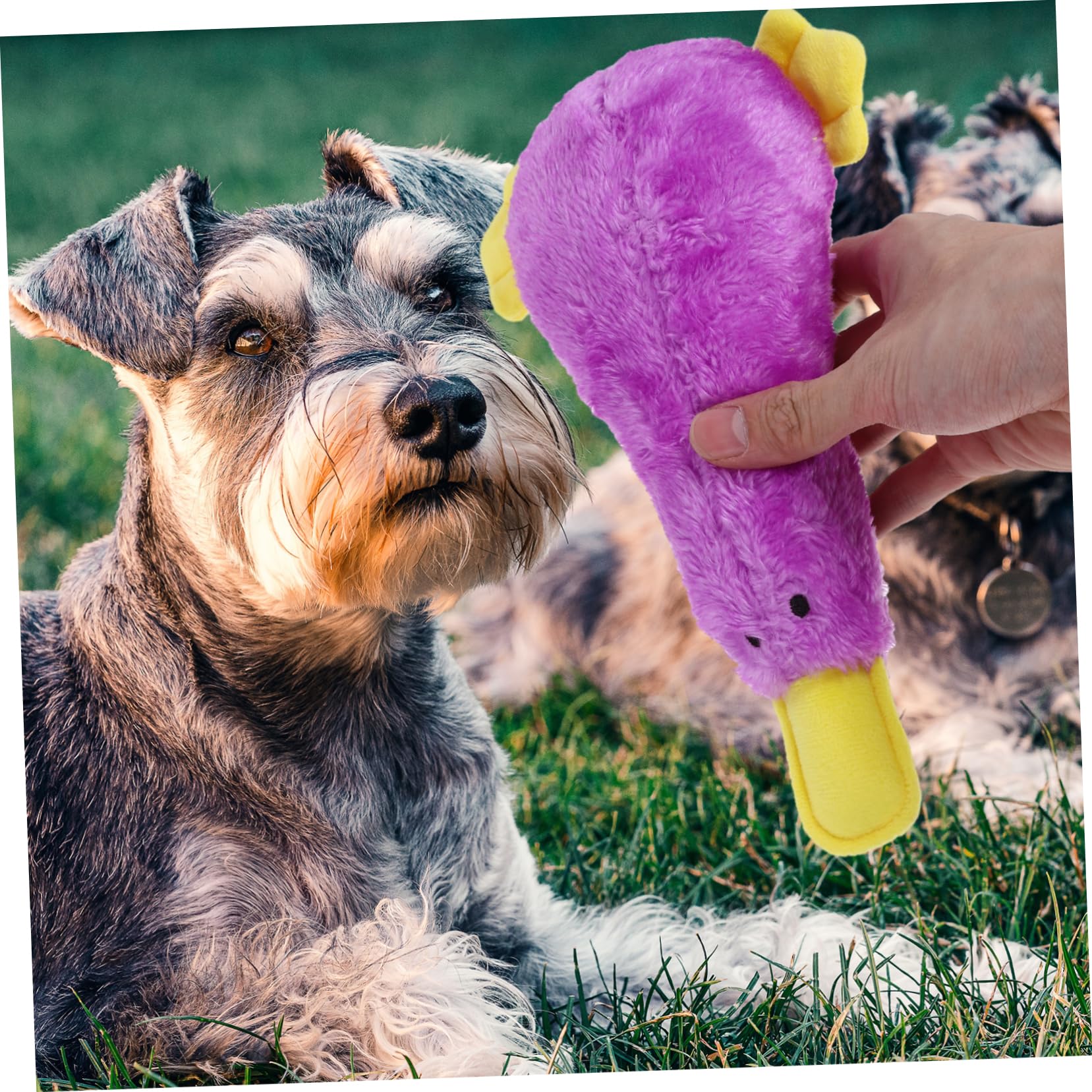 HANABASS Jouet pour Chien Qui Couine Jouet à Mâcher pour Chiot Oiseau Motif Dessin Animé