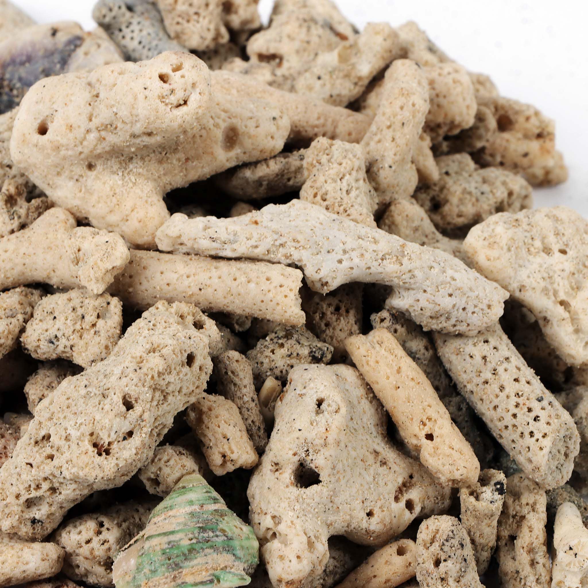 SunSun Sable corallien très Grossier – 0,5 kg – pour Colonisation de bactéries nitrifiantes, Régulation de dureté – Filtre bassins, étangs, Aquariums