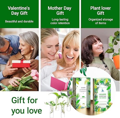 Miniatura 60 de Ivolador - Terrario de cristal colgante, maceta para plantas hidropónicas, decoración para el hogar