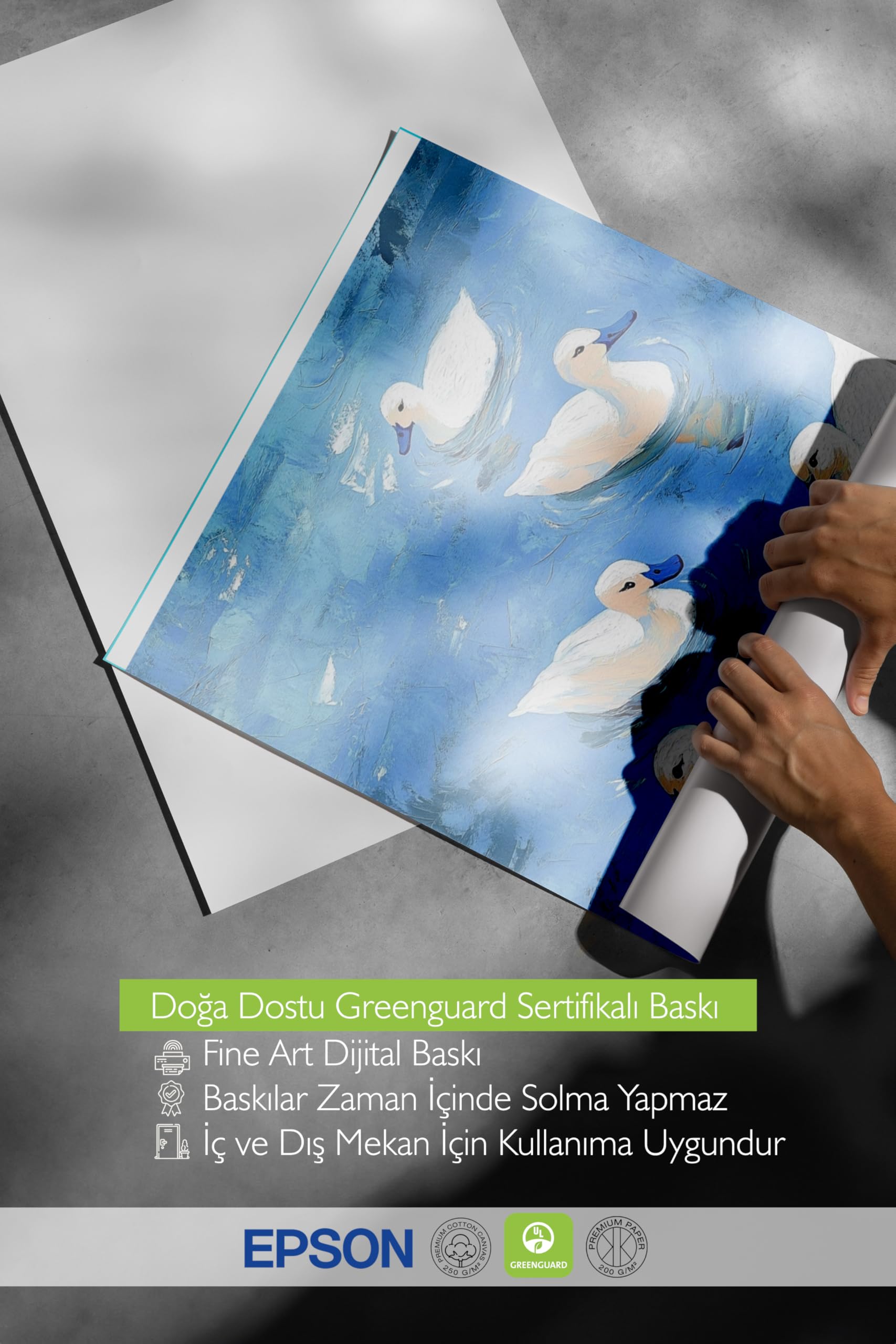 Zestia Ahşap Çerçeveli Tablo, Beyaz Ördekler, Mavi Sular, Pastoral Stil Poster No: 107339 50 x 70