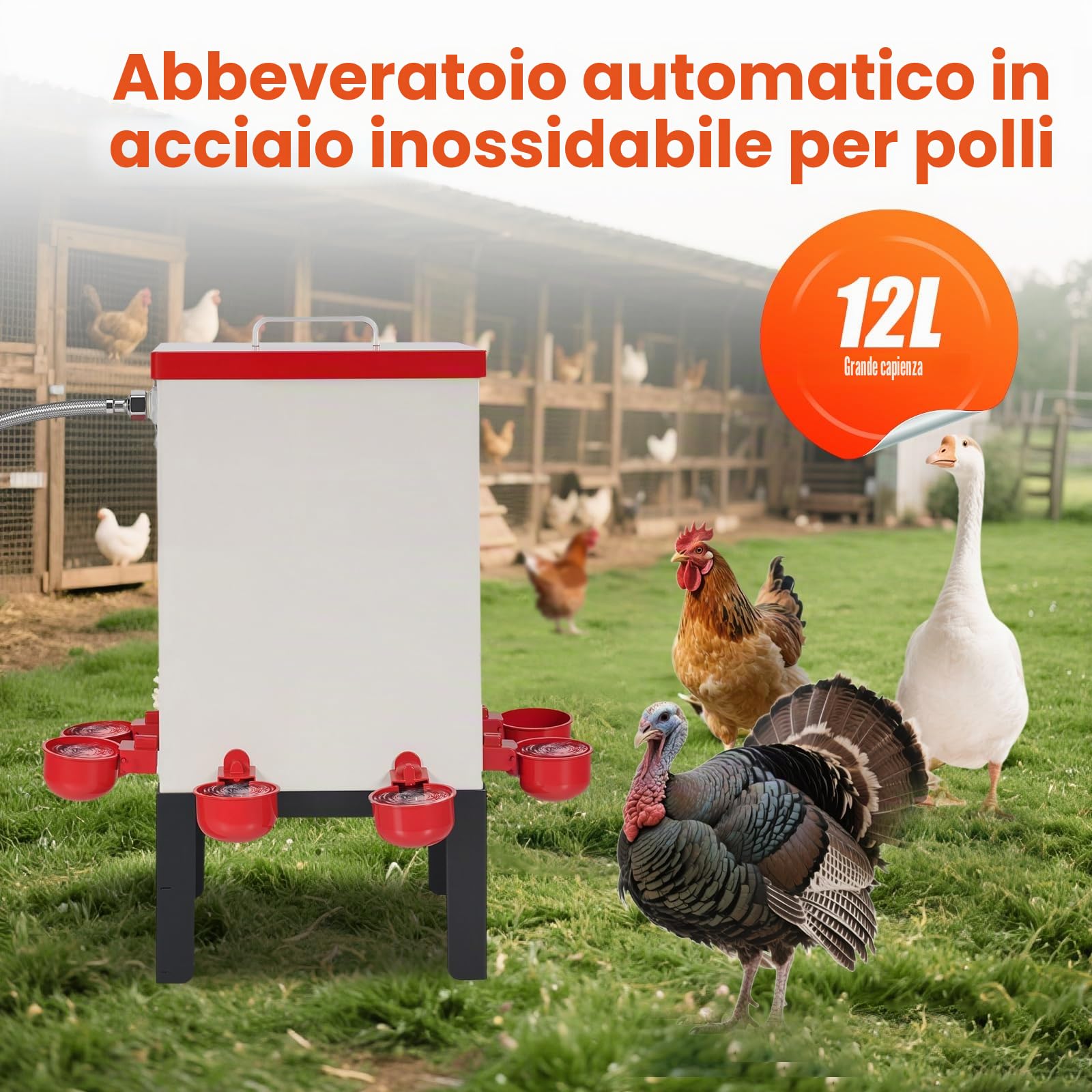 Abbeveratoio Automatico per Polli da 12L Distributore d'acqua per Pollame in Acciaio Inossidabile con Valvola Tazze d'acqua e Supporto Alimentatore per Acqua per Pulcini Anatre Oche Tacchino