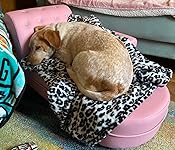 Review Image by christine macdonald christine macdonald