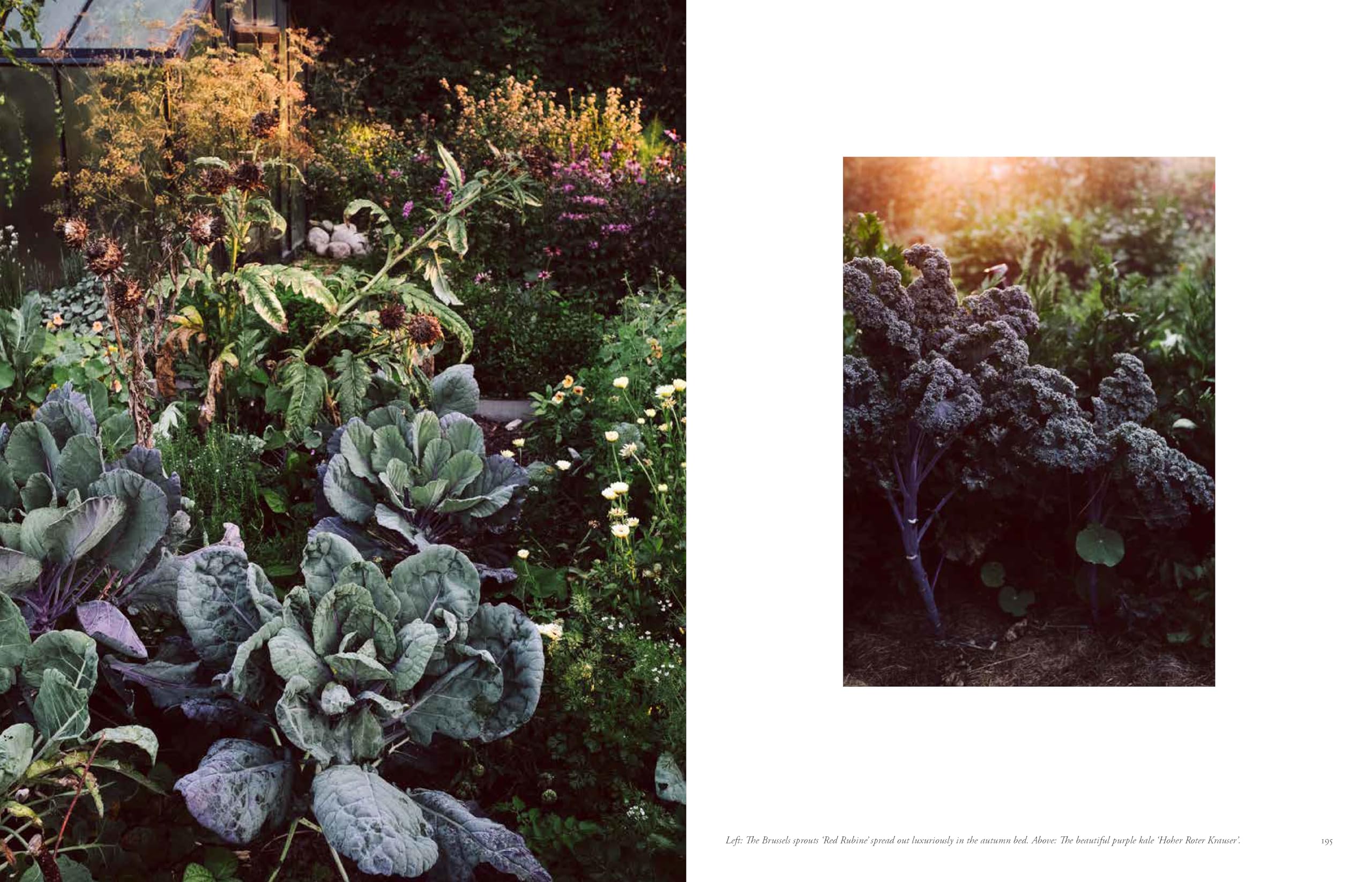 Beyond the Meadows: Portrait of a Natural and Biodiverse Garden by Krautkopf