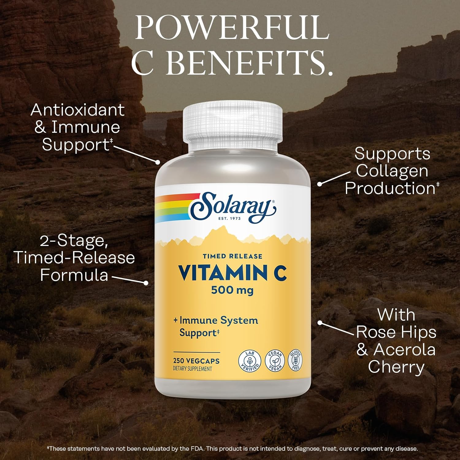 SOLARAY Vitamin C 500mg, Two-Stage Timed Release - Antioxidant and Immune Support Supplement - Vitamin C with Rose HIPS and Acerola, Vegan, Gluten Free, 60-Day Guarantee, 250 Servings, 250 VegCaps