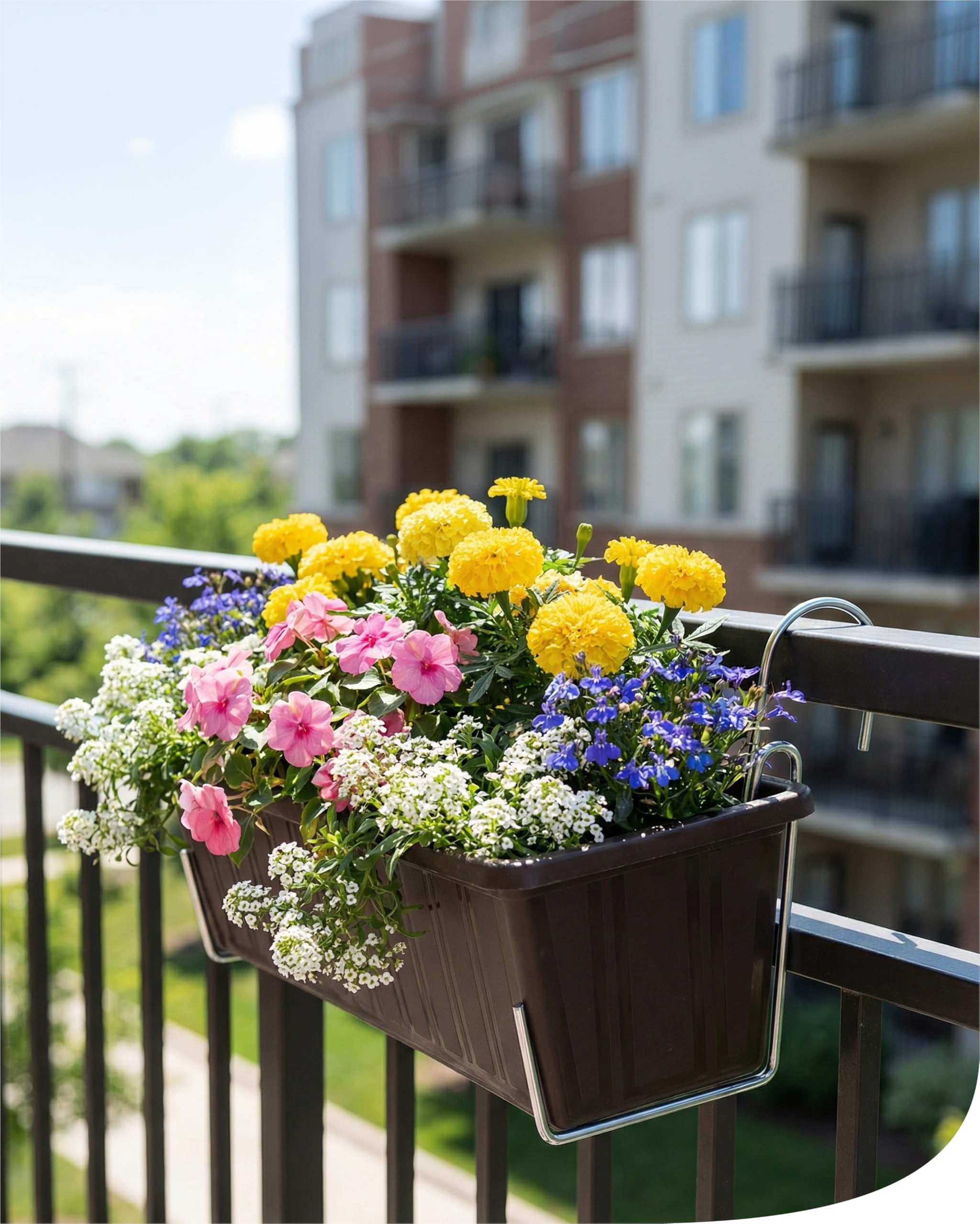 bellissa - Blumenkastenhalterung (4 Stck) Balkonkasten-Halterung fr breite  Gelnder und Fensterbank  Haken fr Blumenksten (ohne Bohren) fr  Balkongelnder aus verzinktem, wetterfesten Stahldraht : Amazon.de: Garten