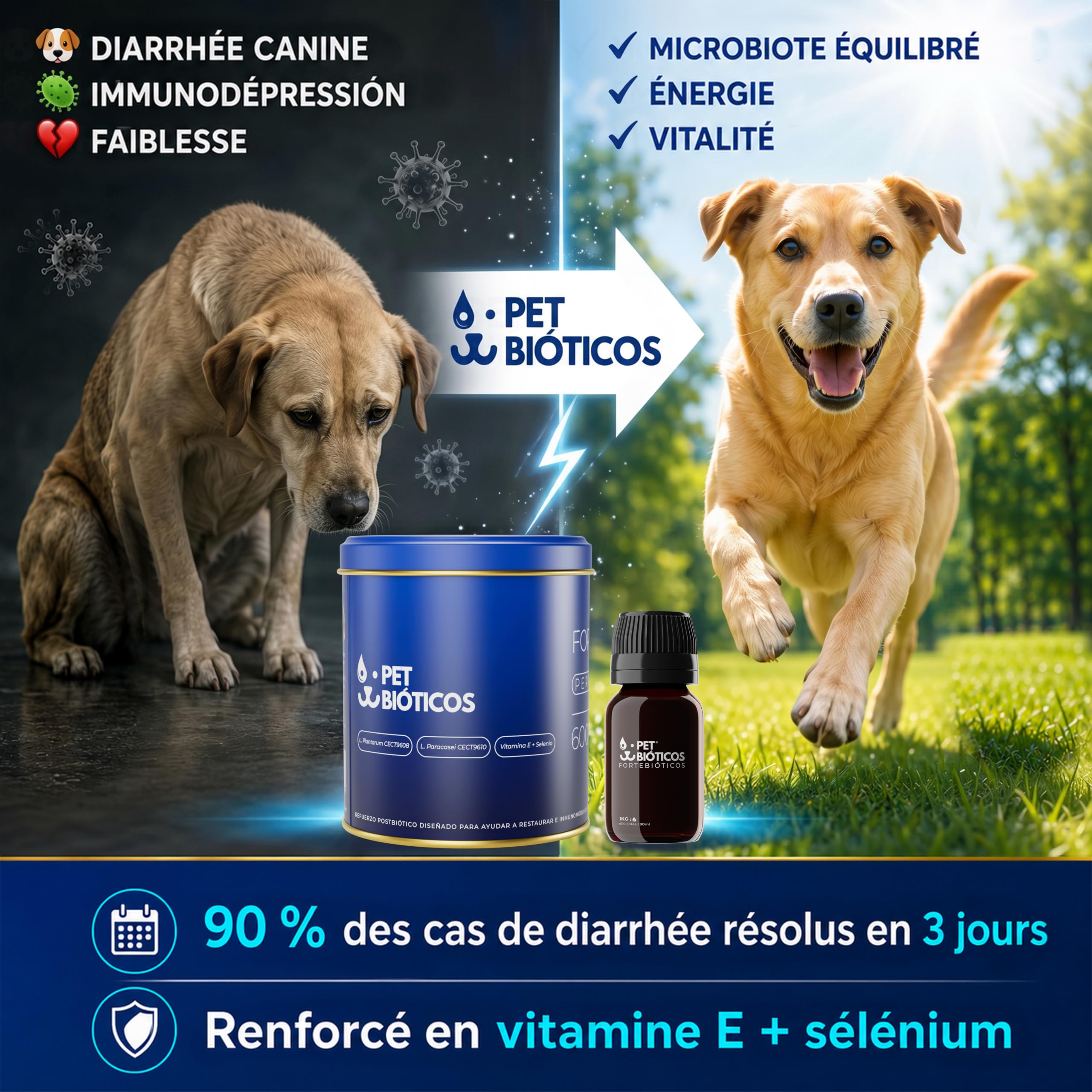 Fortebióticos Chien 600 Gouttes 30 ML - Complement Alimentaire Chien Postbiotique - Alternative aux Probiotique Chien et Probiotiques Chien - Flore Intestinale Microbiote, Hygiène et Santé du Chien