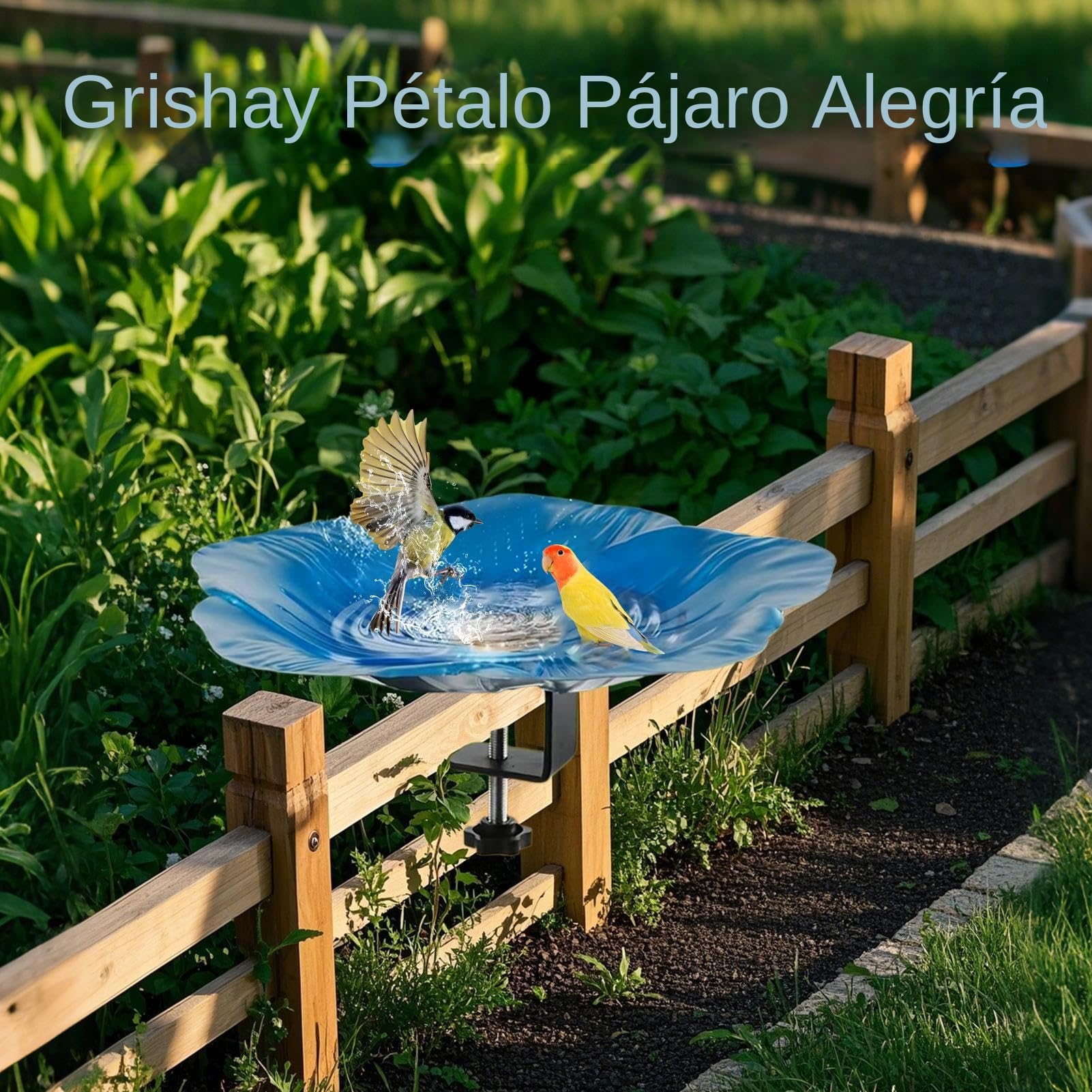 Bebederos para Aves Exterior Cuenco De Agua para Fuente De Aves En Jardín | Plato Desmontable Con Sujeción Para En Jardín, Patio, Balcón, Porche, Parque Y Decoración
