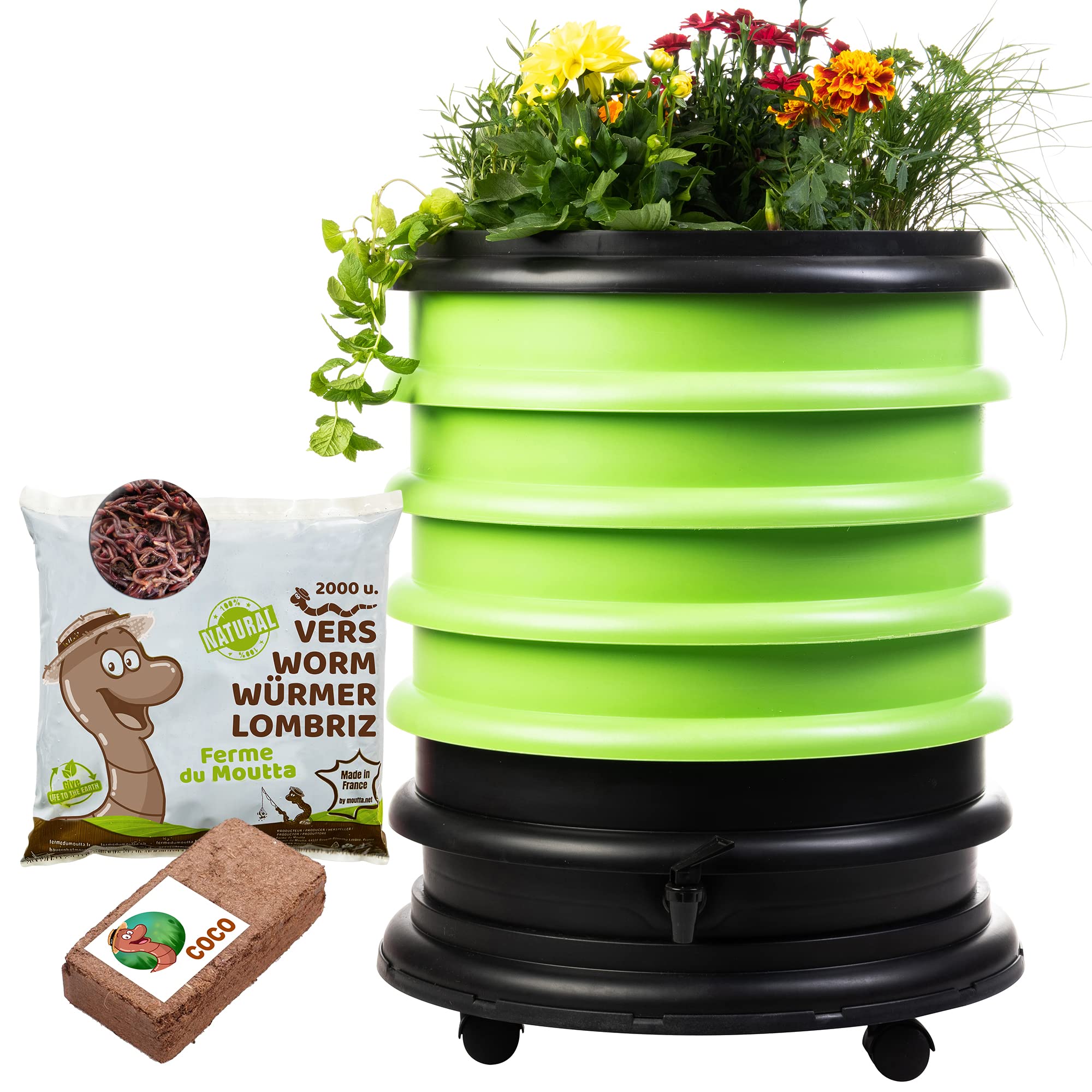 WORMbox | Wurmkomposter Wurmfarm Wurmkiste mit 4 Schalen Grün + Pflanzgefäß + 1kg Kompostwürmer / 2000 STK + 1 Coco | 64 Liter | Regenwurmkomposter, Kompostwürmer produzieren Wurmhumus