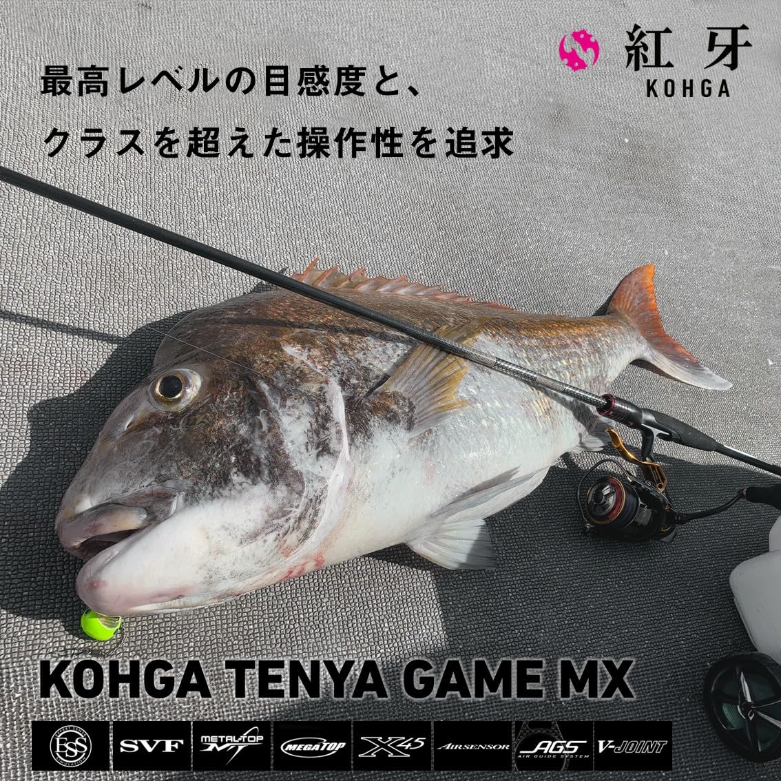 ダイワDAIWA 紅牙テンヤゲーム　スピニング使用 Amazon | ダイワ(DAIWA) テンヤ竿 紅牙テンヤゲームMX H-215・J