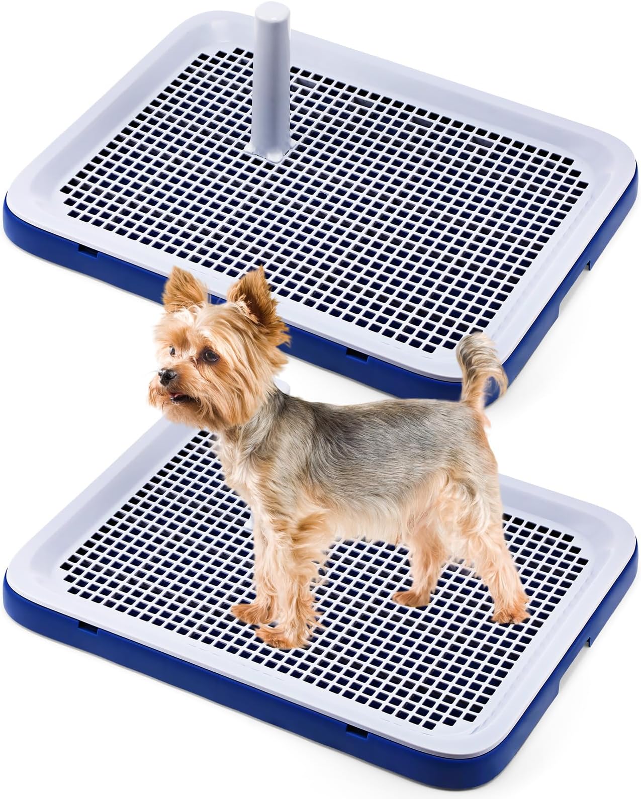 Paterr 2 Pack Dog Potty Training Tray, Pee Pad Holder