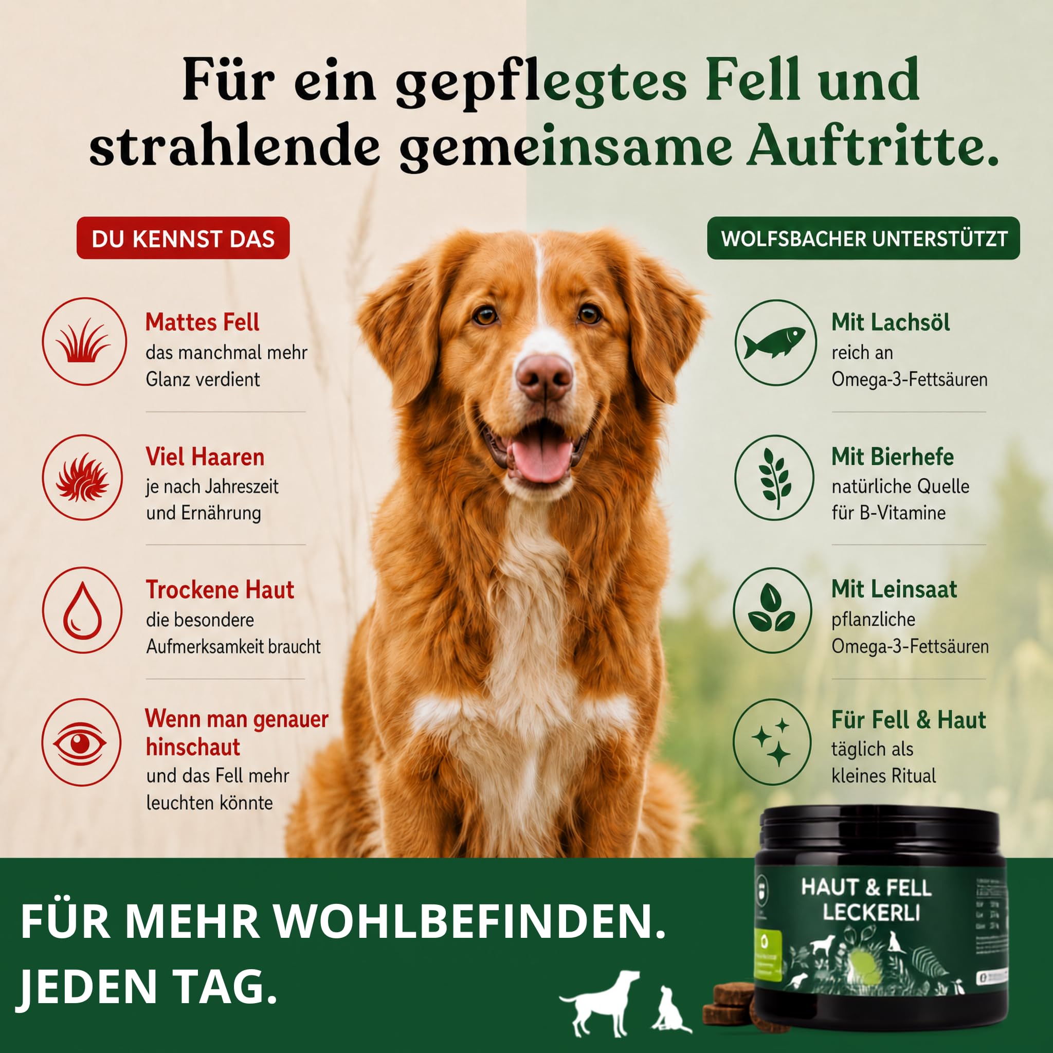 Omega 3 für Hunde - Mit Lachsöl, Kokosöl, Bierhefe | Haut & Fell Leckerli 4 x | Gegen Juckreiz, für gesunde Haut und glänzendes Fell