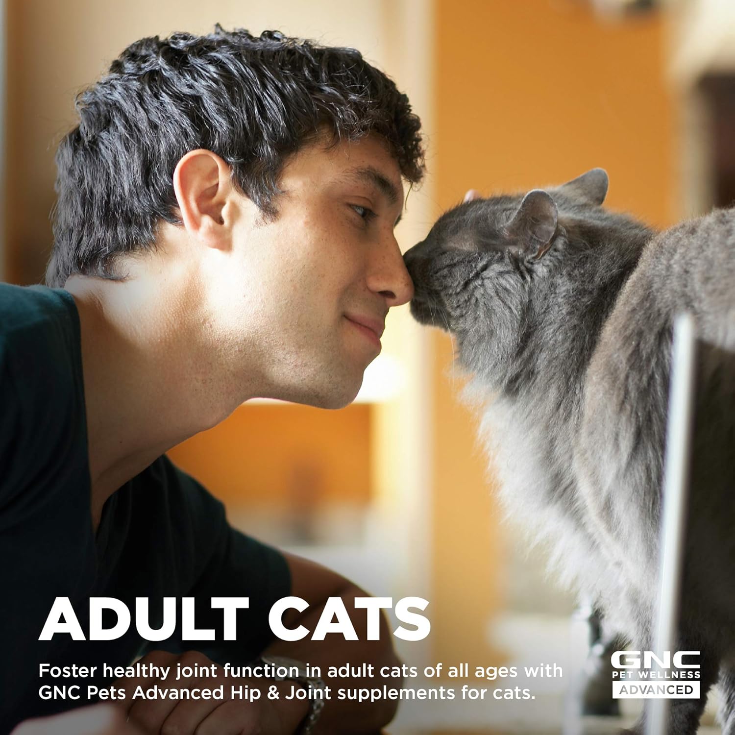 GNC Pets ADVANCED Hip & Joint Cats Supplements, 60 ct | Cat Soft Chews for Hip & Joint Support, Cat Supplements, Cat Joint Health | Glucosamine, MSM, & Chondroitin Cat Chews | Made in the USA : Pet Supplies