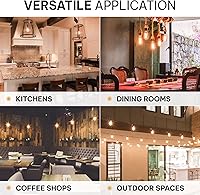 Vista 9 de HUDSON BULB CO. Bombillas Edison incandescentes vintage de 60 W