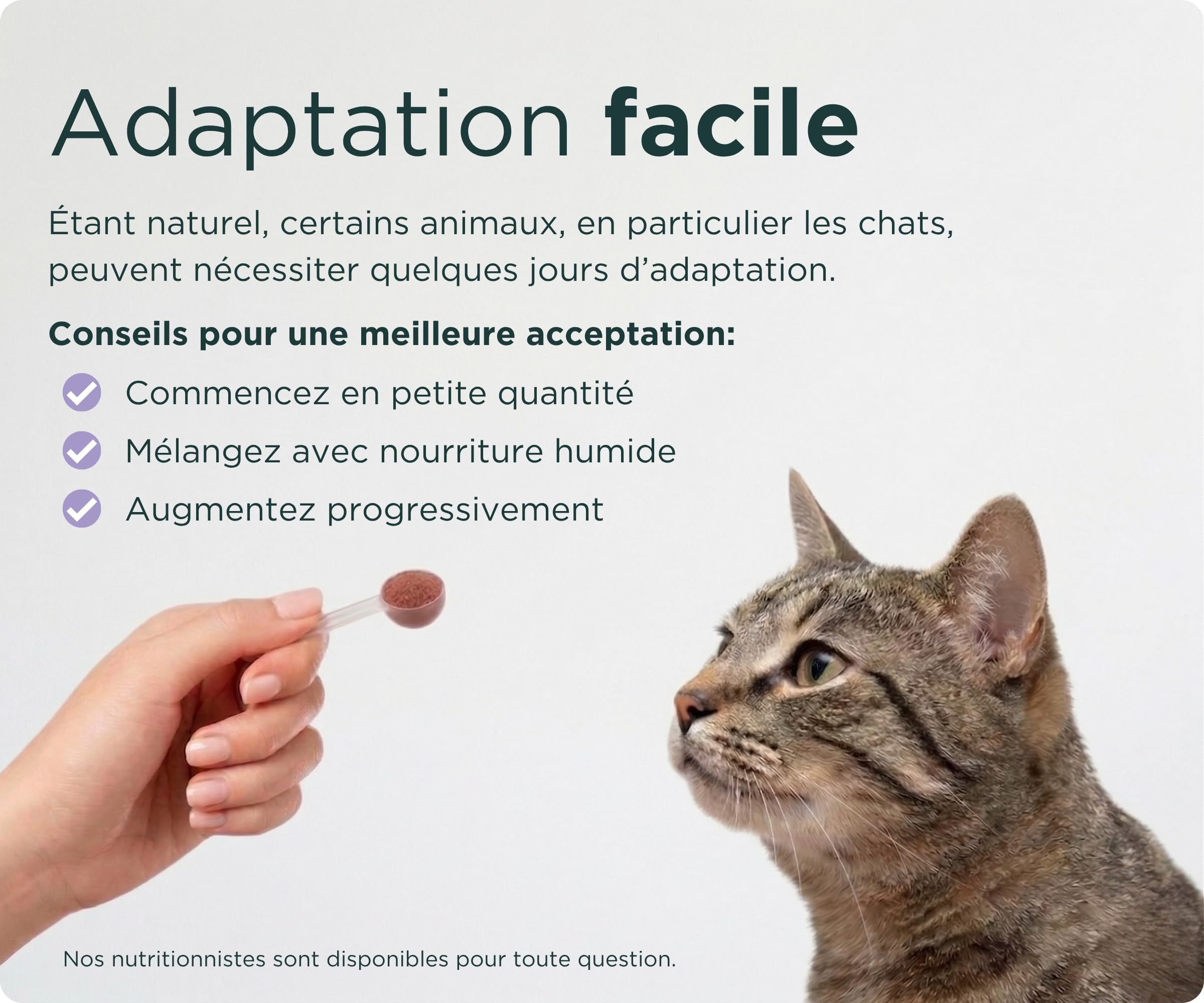 Wolf Belly - Traitement Infection Urinaire Chat et Chien 100% Naturel (180 g) Cystite Chat Médicament | Canneberge Poudre Riche en Vitamine C | Santé Reins pour Seniors et Chats - Fabriqué en Europe