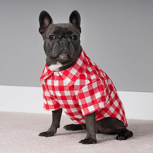 Miniatura 2 de Fitwarm Paquete de 2 camisas para perro de teñido anudado, ropa de verano para perros pequeños, camiseta ligera para mascotas, atuendo de gato, 100%