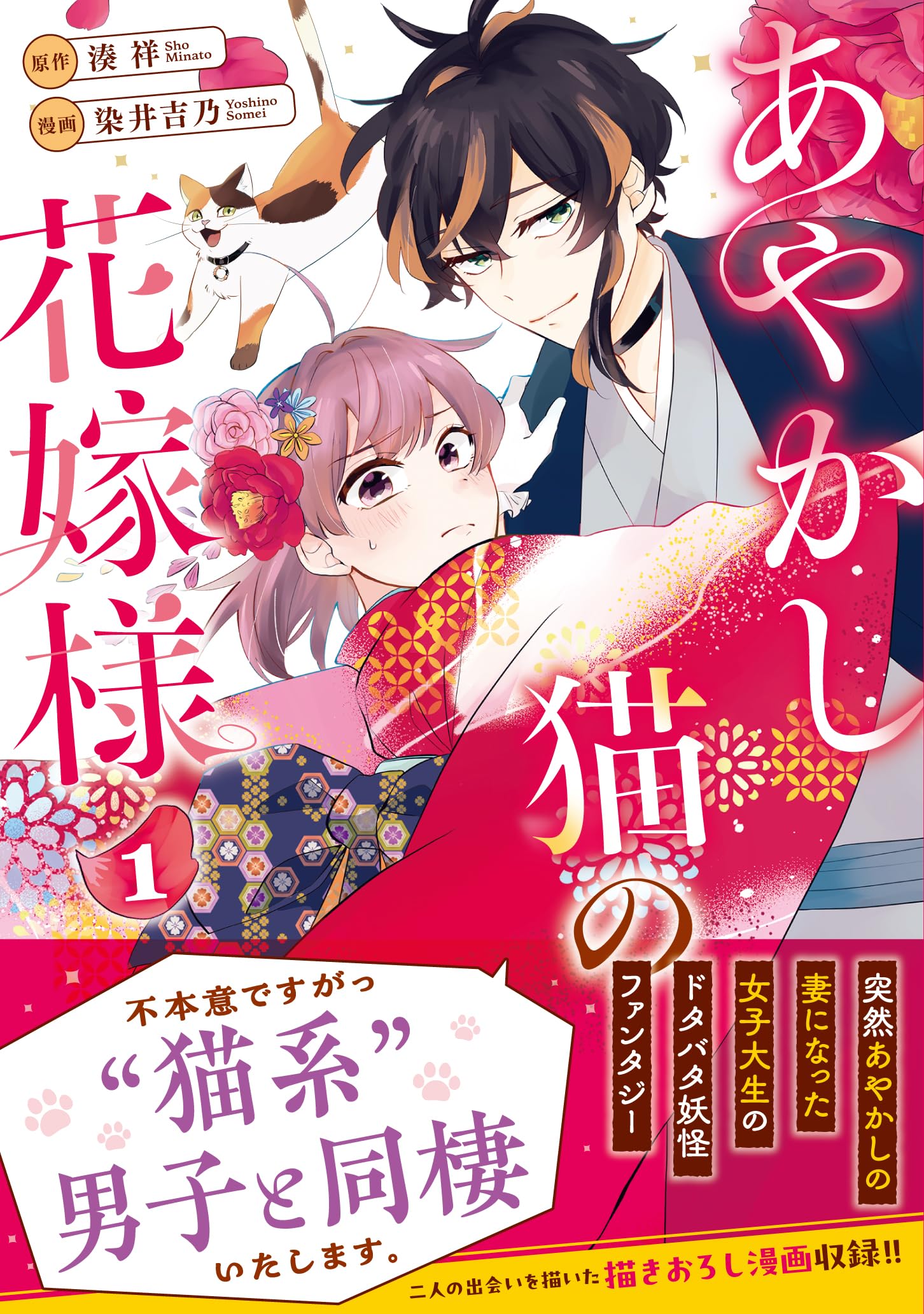 あやかし猫の花嫁様 (1) (アルファノルンCOMICS) | 染井吉乃, 湊祥 |本