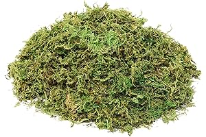 Fresh Green Faux Moss for Decor and Crafts
