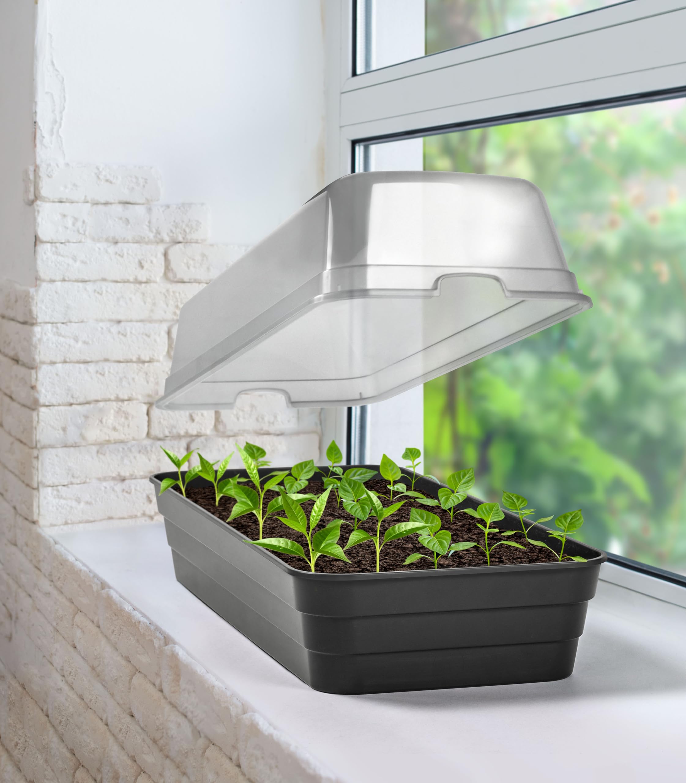 10x Anzuchtgewächshaus 27x19cm - Mini Zimmergewächshaus Für Pflanzen