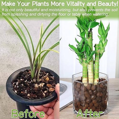 Miniatura 4 de ZeeDix Guijarros de arcilla expandida de 8 libras para plantas, leca de 4 a 0.630 in para plantas, medios de cultivo agregados de arcilla, guijarros