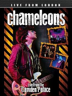 The Chameleons - Live From London