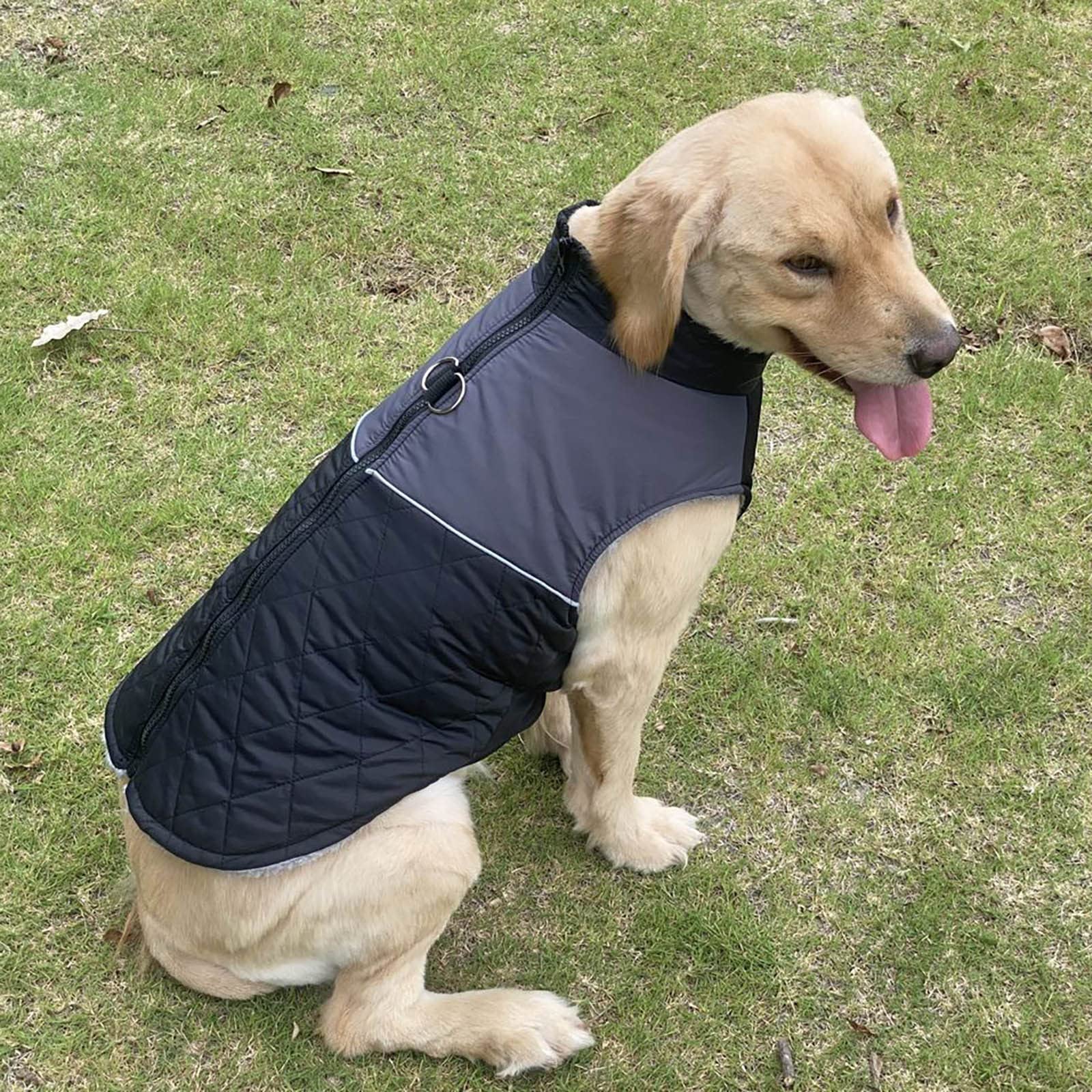 Generisch Pull Pour Chien - Manteau Chaud - Doux Et Lavable