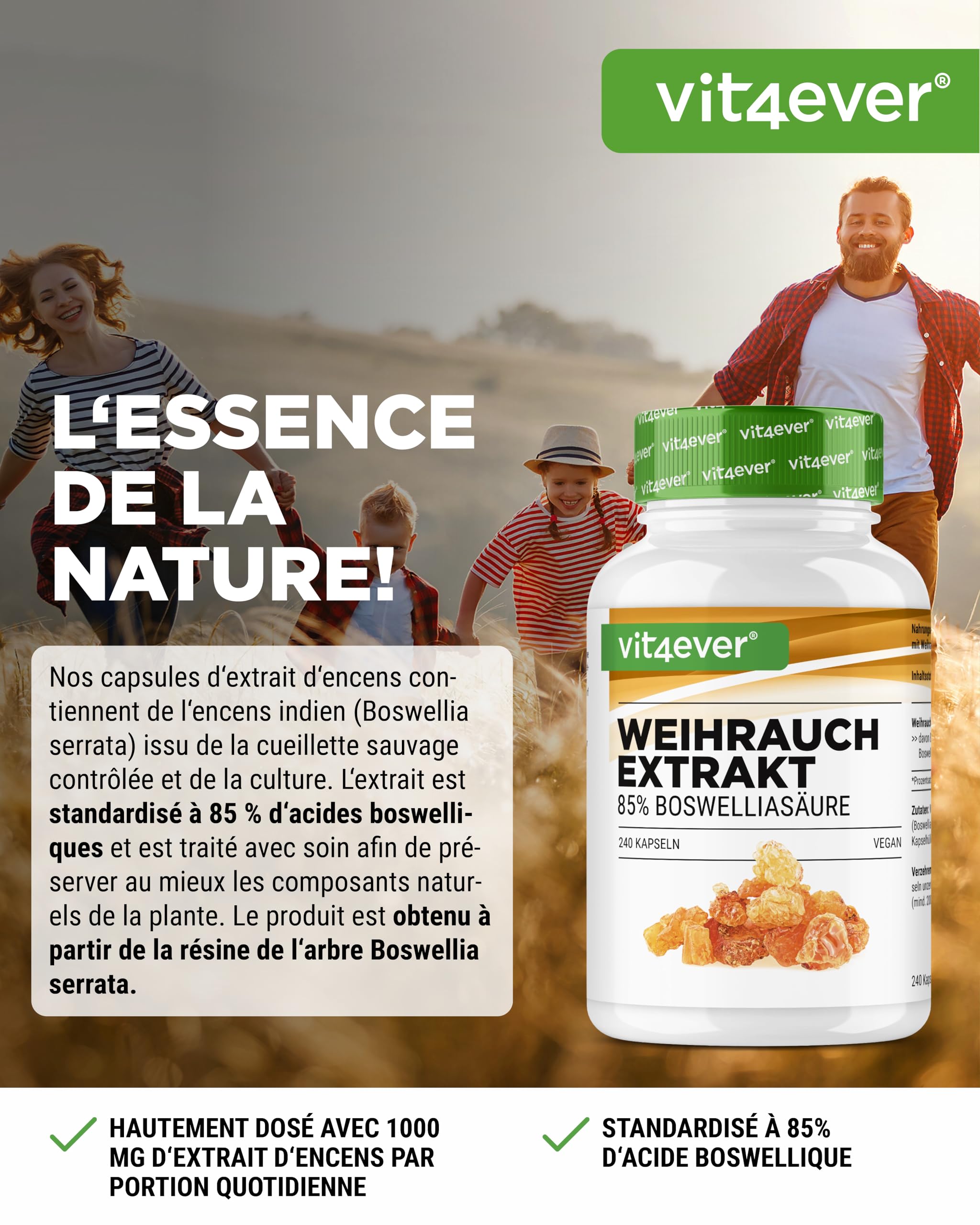 vit4ever Extrait d’Encens - 240 capsules Véganes - 1000 mg par Portion Quotidienne - Avec 85% d’Acides Boswelliques issus de Véritable Boswellia serrata Indien - Hautement Dosé & Qualité Premium