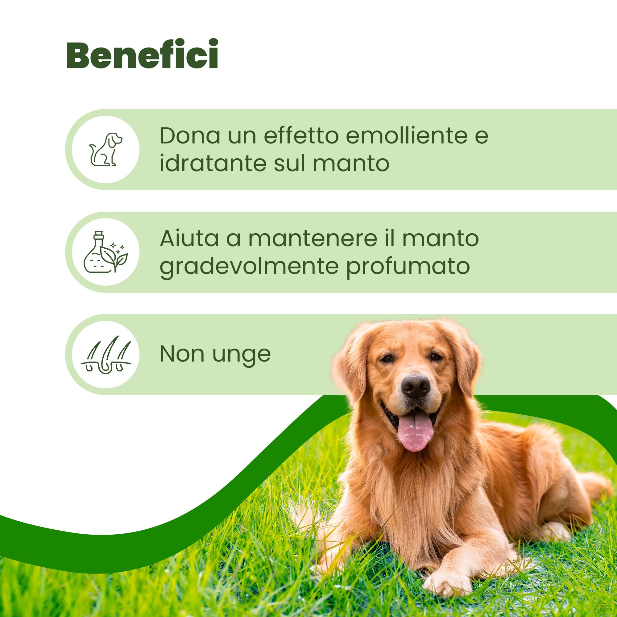 CAMON | Spot-On Protection Cane (>11kg), 5 Fiale da 5ml con Olio di Neem, Protezione Naturale per Cani