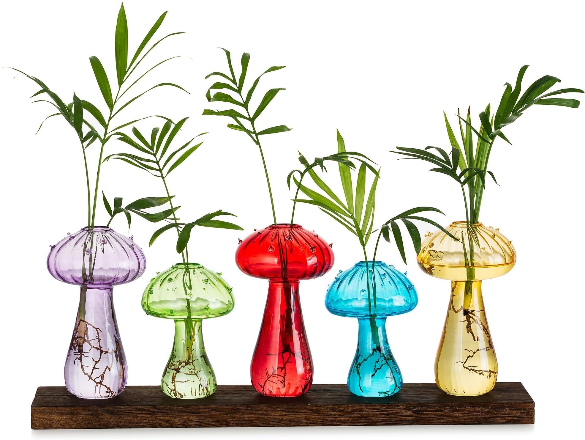 Glasseam Mushroom Propagation Station, Glass Plant Terrarium Jars with Tray