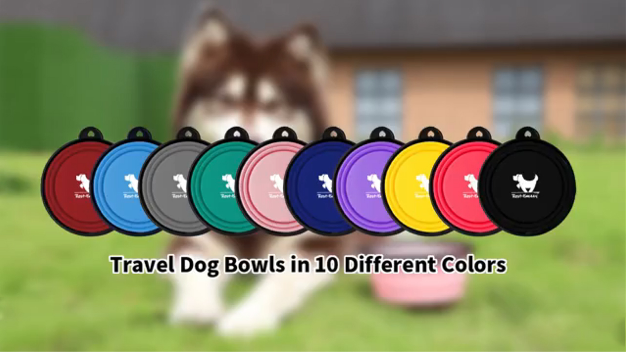 Collapsible Dog Bowls for Travel, 2Pack Dog Portable Water Bowl for