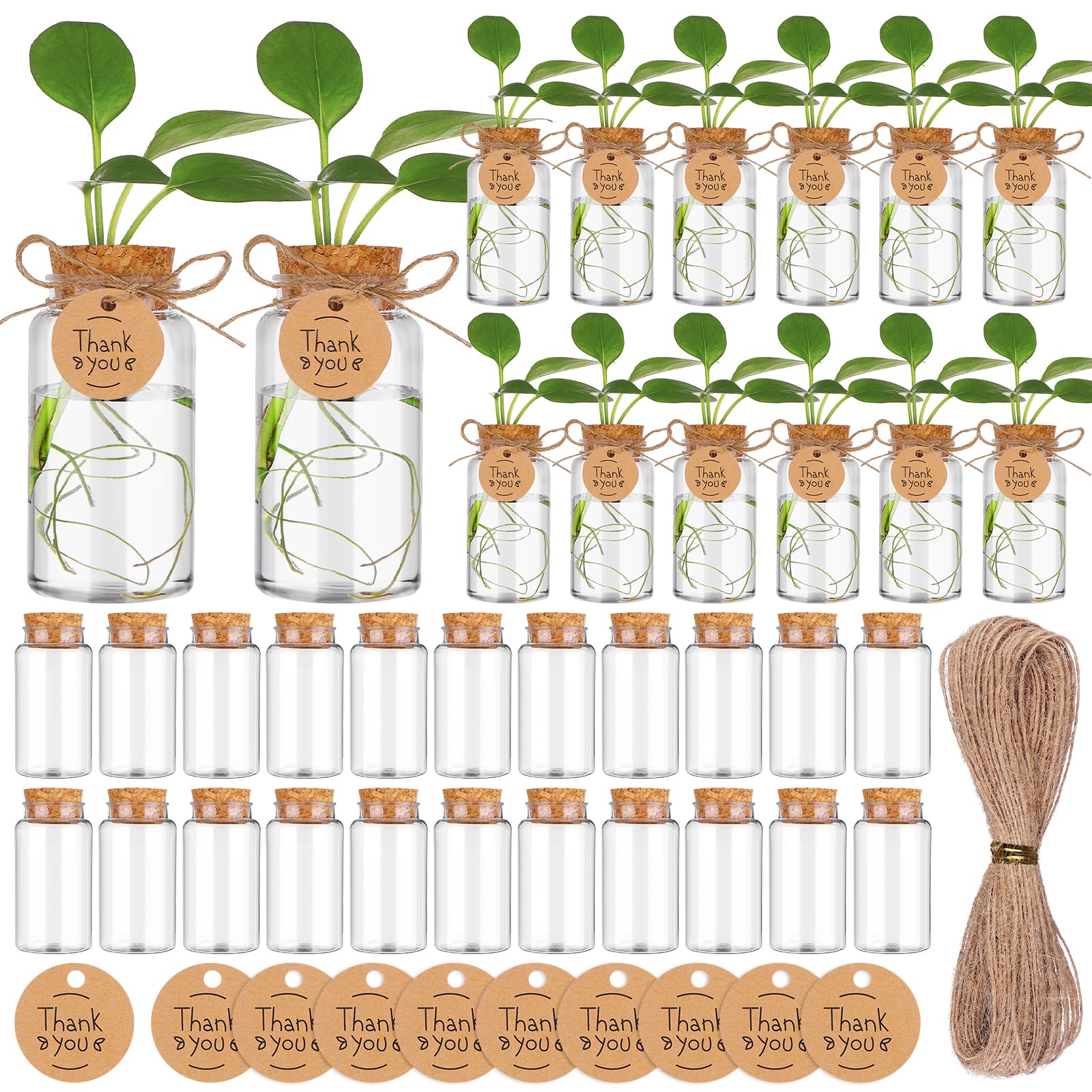 36 paquetes de estaciones de propagación de plantas con tapa de agujero, botellas de cultivo de plástico transparente, recipientes hidropónicos de mesa con etiquetas de agradecimiento para el