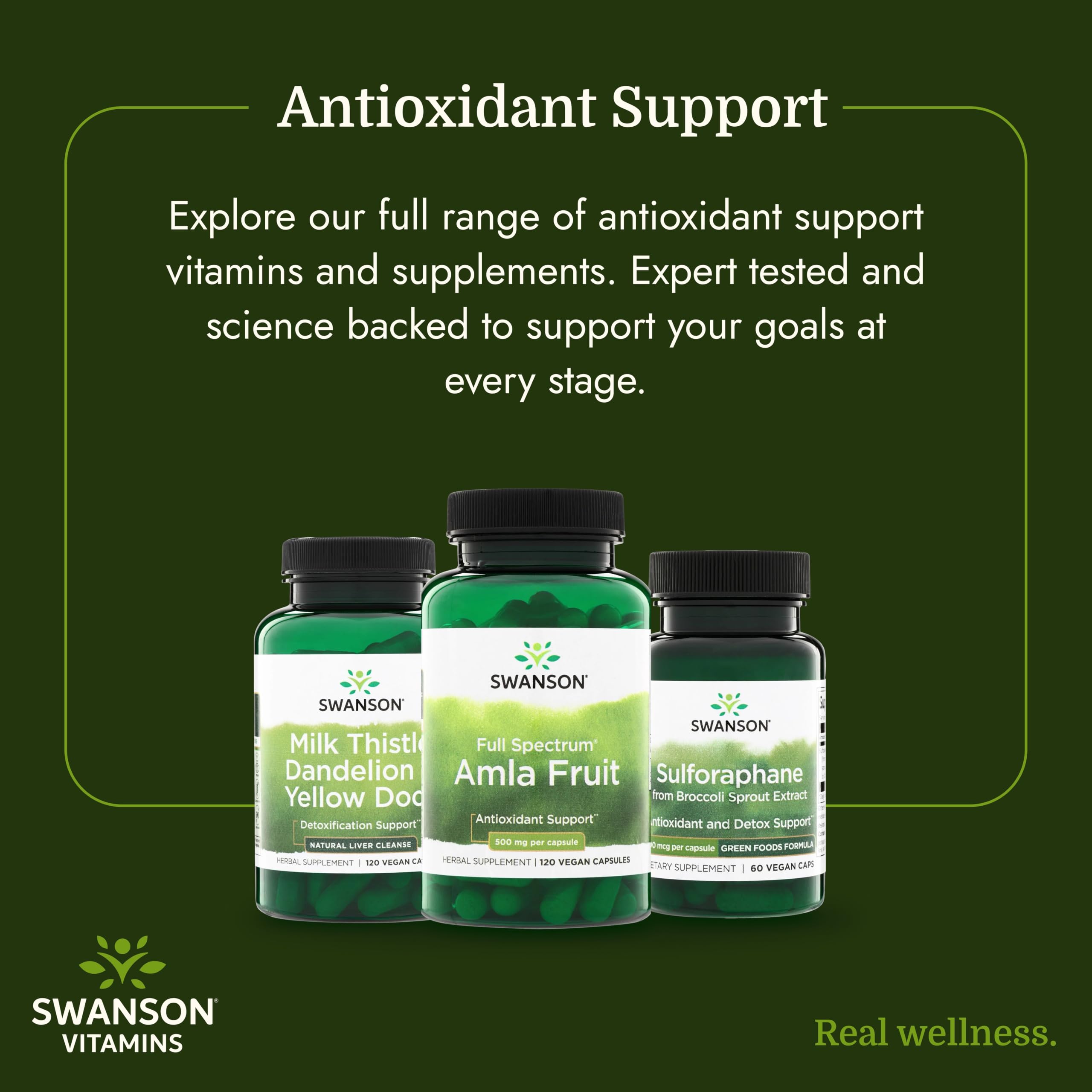 Swanson Full Spectrum Amla Fruit, 500 mg, 120 Capsules — Amazon image 6