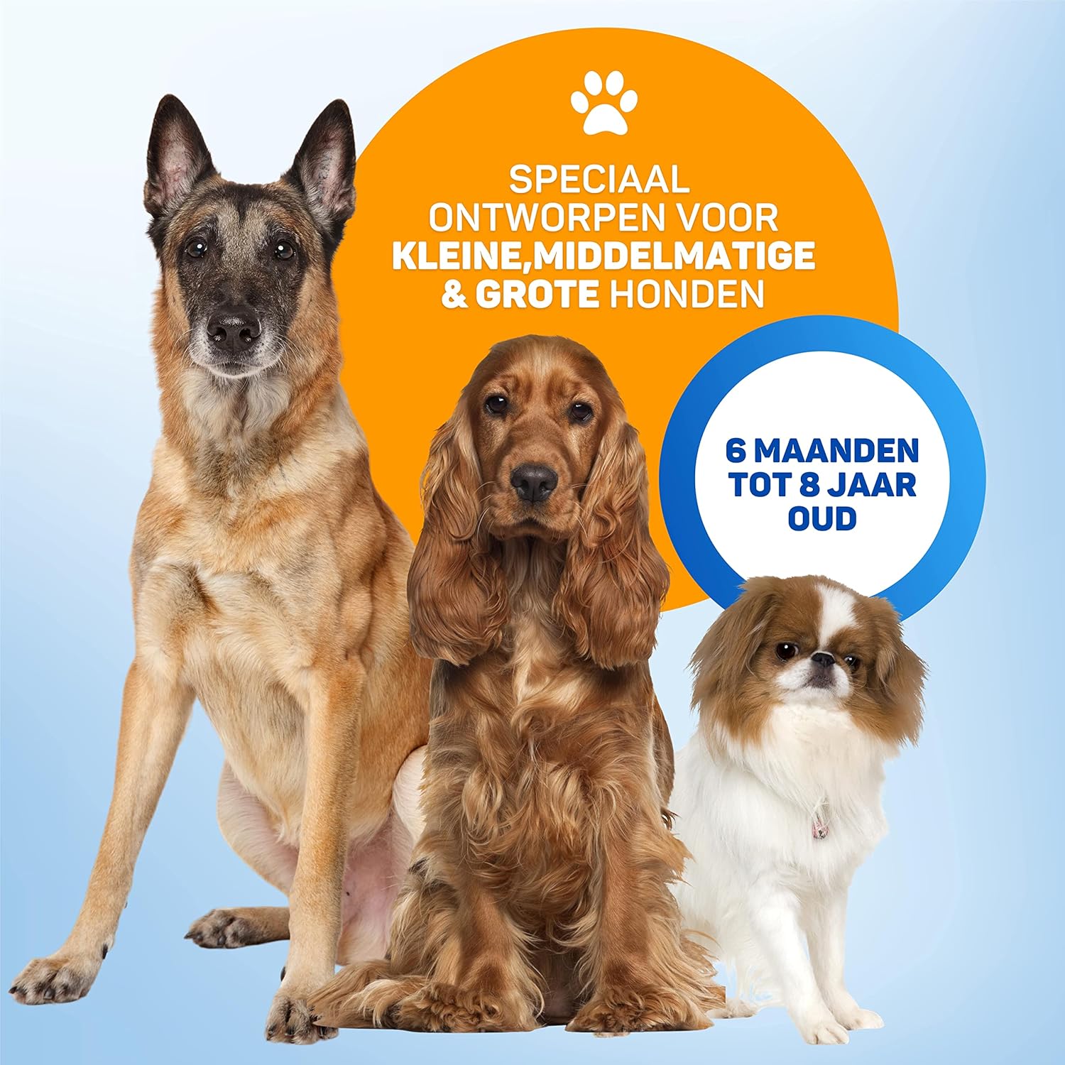 Dogs of various sizes suitable for the device