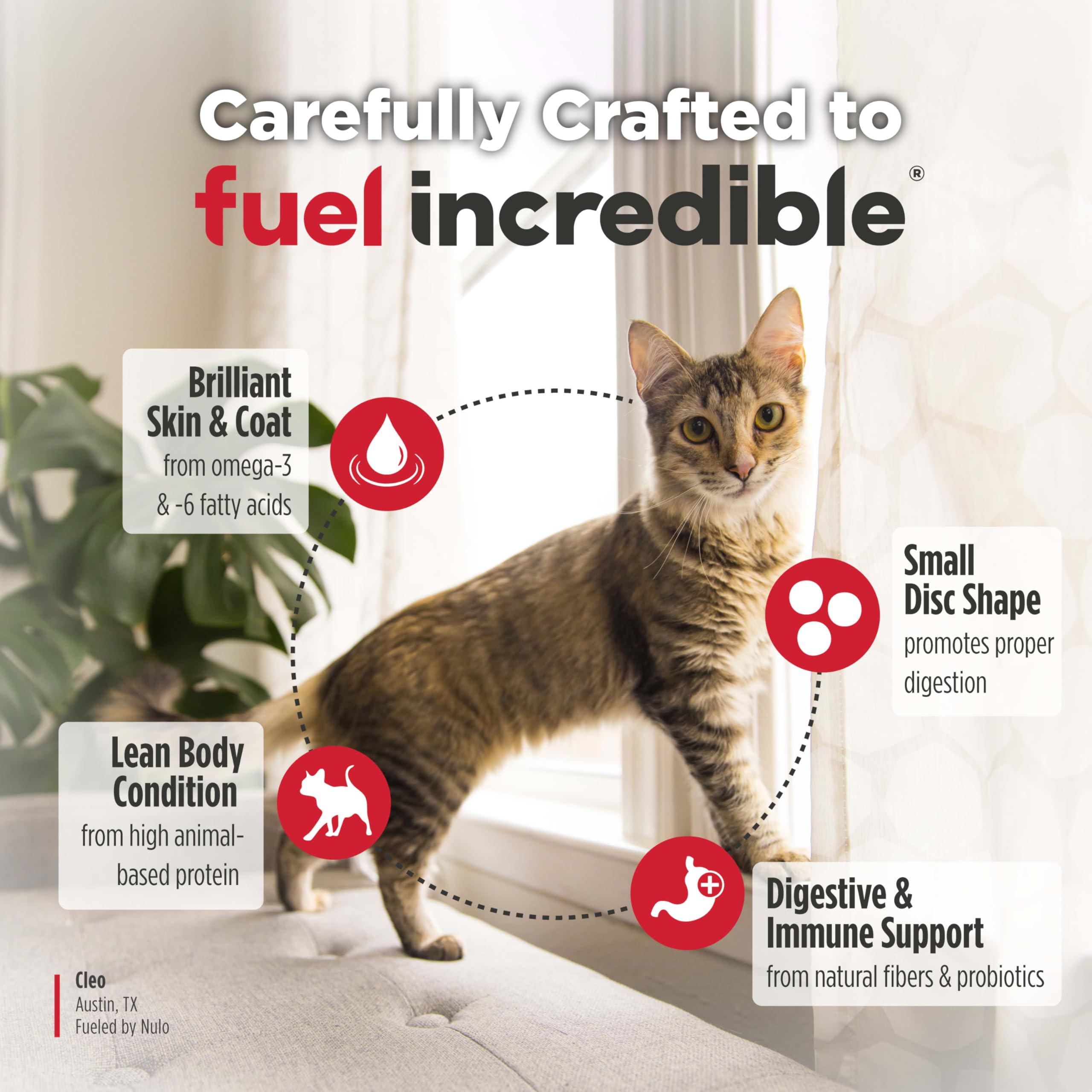Nulo Freestyle Senior - Alimento seco para gatos, croquetas naturales de primera calidad sin granos con antioxidantes para apoyo inmunológico y alta proteína de origen animal