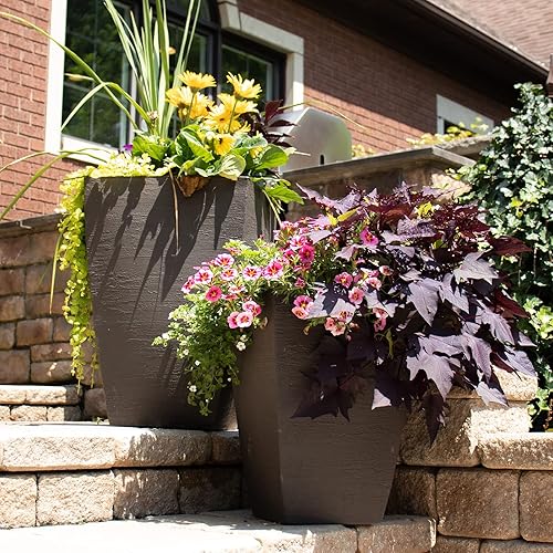 Miniatura 3 de Tusco Products MSQT23ES - Maceta cuadrada moderna para jardín, 23 pulgadas, color espresso