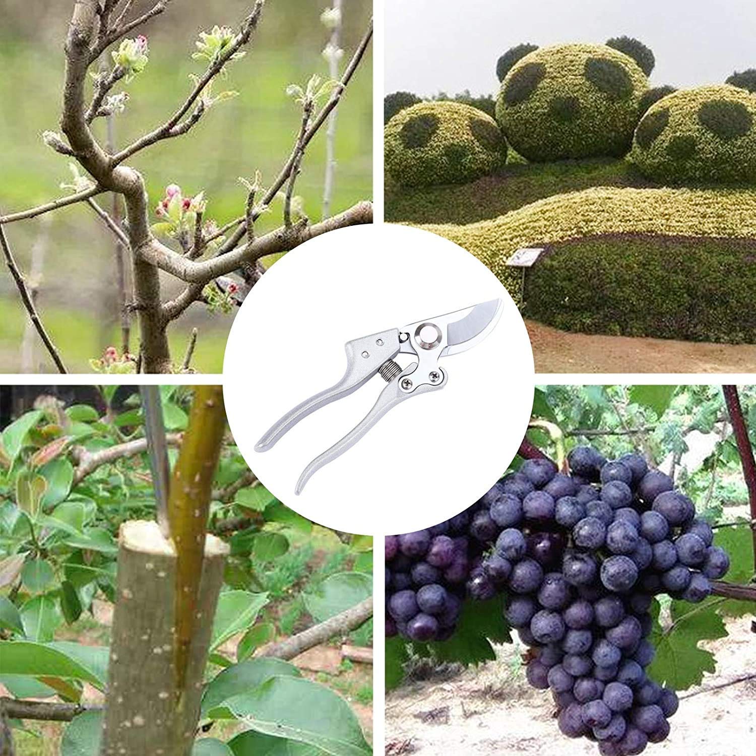 Tijeras de podar de trinquete Sk5 Hoja afilada de acero de aleación Tijeras de podar de jardín Tijeras de podar de mano de yunque Podadora de jardinería Tijeras de recolección de frutas y verduras Ja