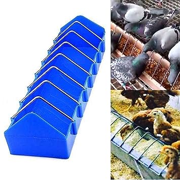 Petzlifeworld Poultry Food Tray for Pigeon, Chicken and Pets Garden Outdoor use Ground Bird Feeder (Blue)