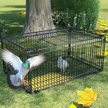 Bird Catcher One-Way Escape Prevention Design Unmjgybc Bird Cage Dove Trap Dove Cage Harmless to Birds Cage Animal Trap Outdoor Easy Assembly Bird Trap with Skylight Suitable for Pigeons, Parrots