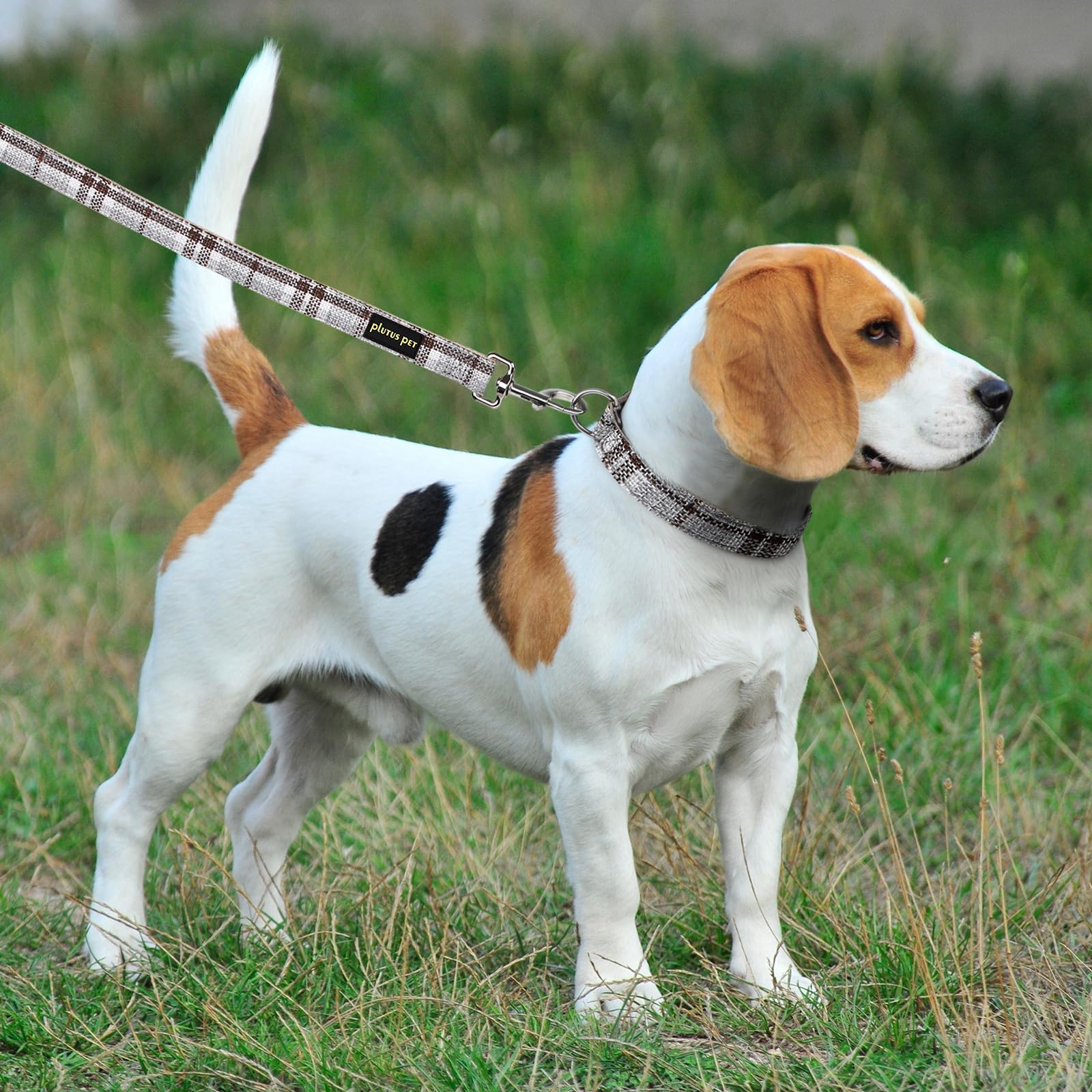 Plutus Pet Cotton Hemp Dog Collar and Leash Set, Adjustable Collar for Small, Medium, and Large Dogs, Heavy Duty and Soft on Skin, Gray Plaid, S