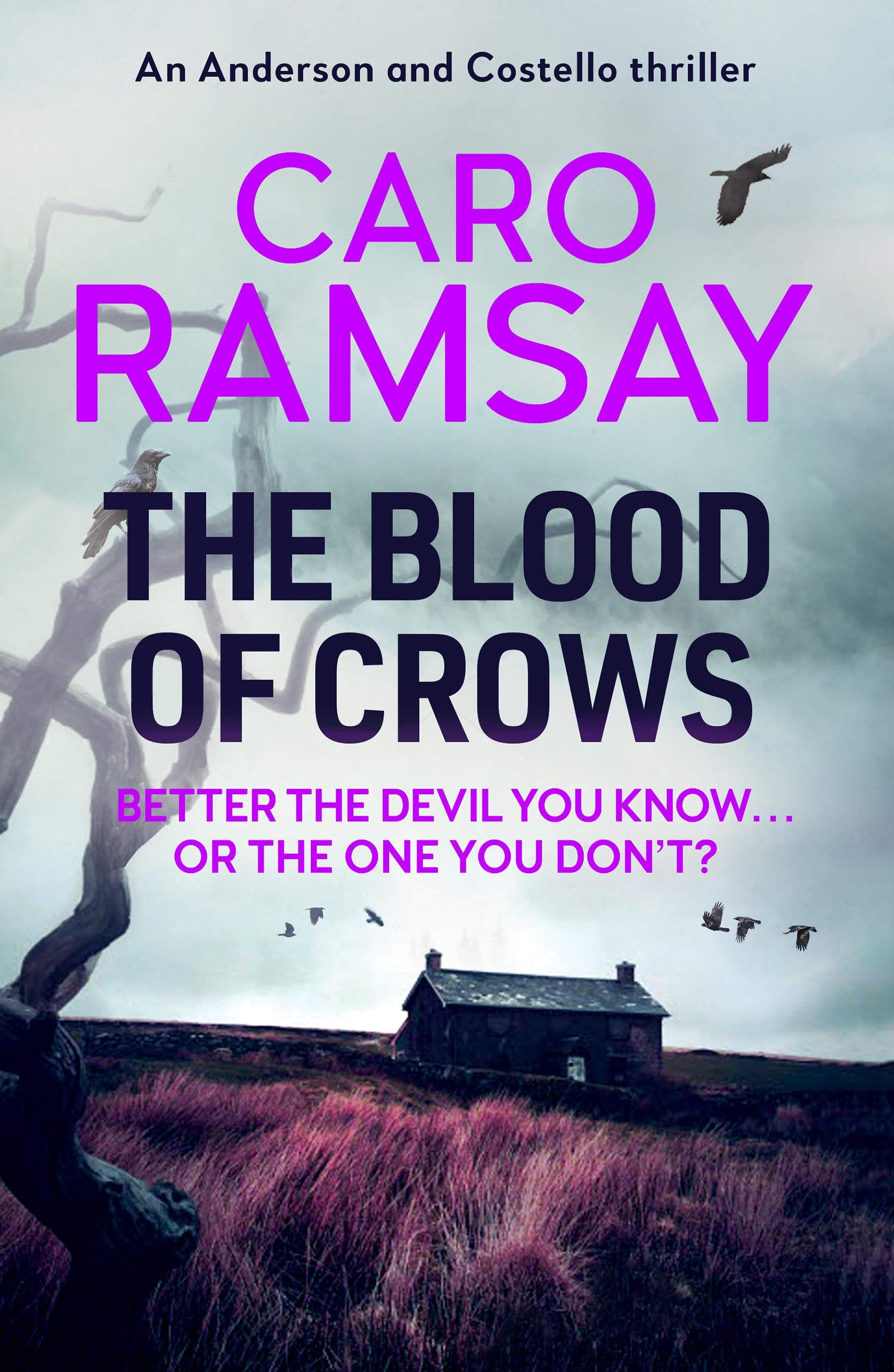 The Blood of Crows: 4 (Anderson and Costello thrillers)