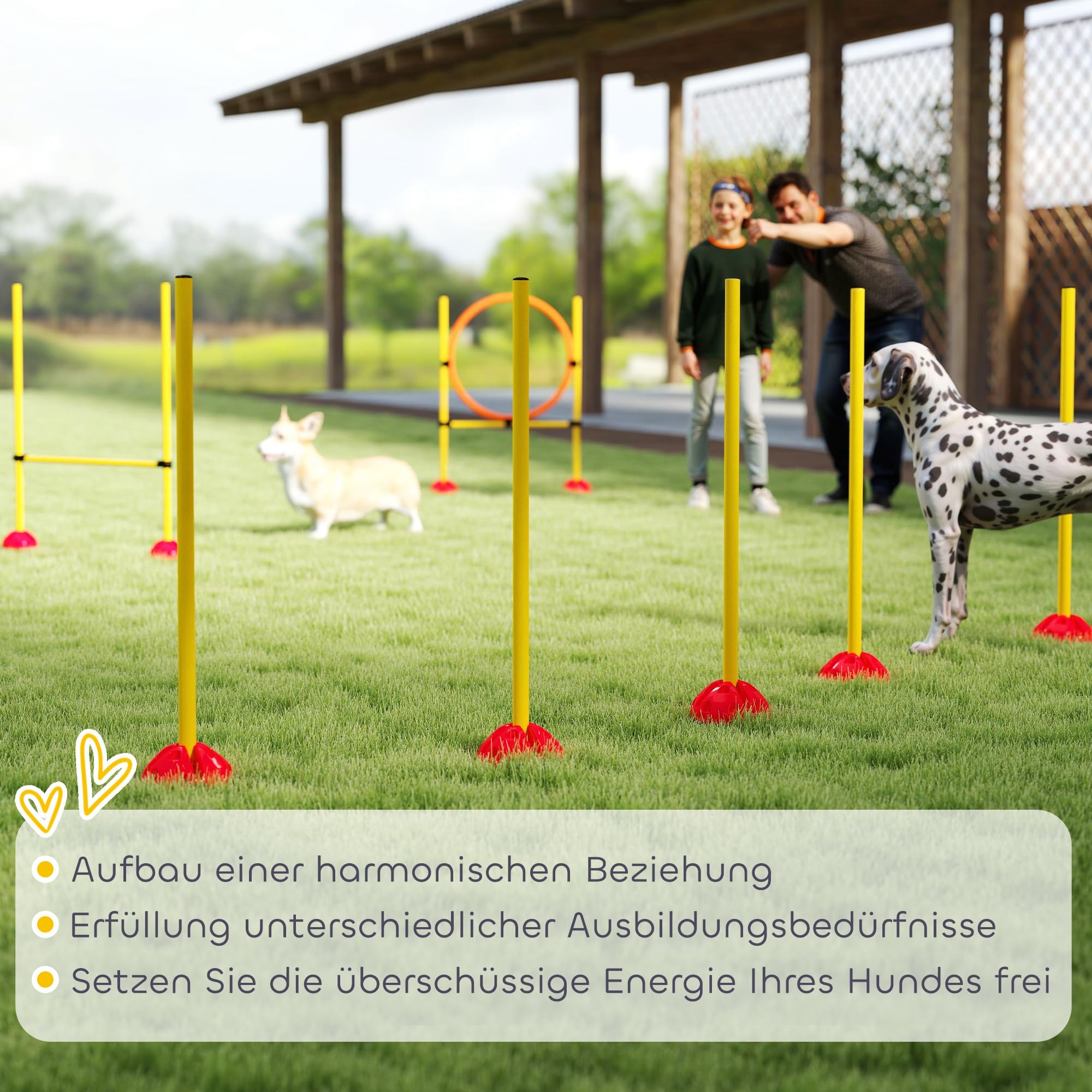 PawHut Set Agility Cani 4 pezzi riempibili per l'addestramento dei cani Set di ostacoli con pali per slalom, ostacoli regolabili in altezza, anello per il salto e la coordinazione per l'addestramento