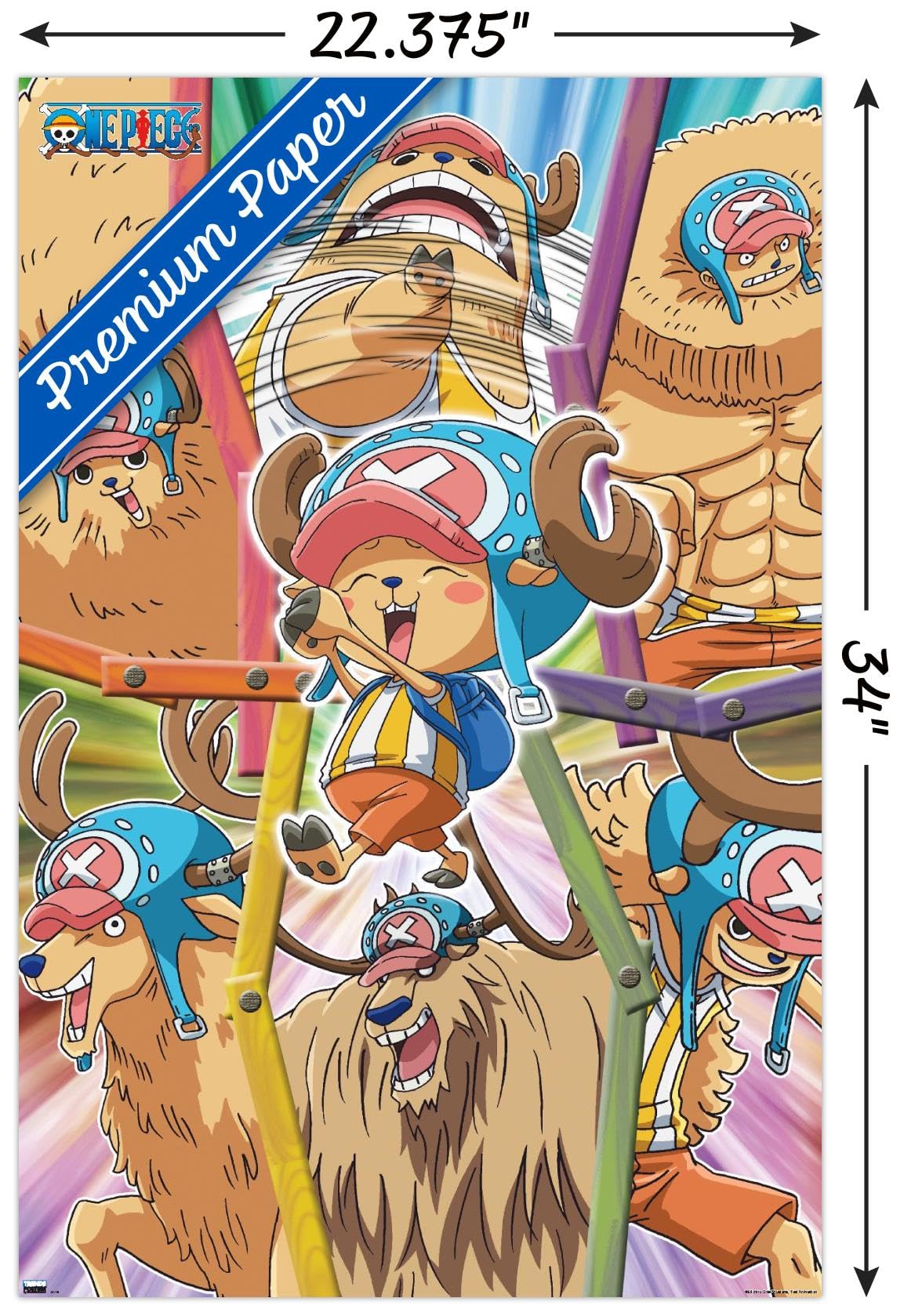 Amazon.com: One Piece: Fishman Island - Tony Tony Chopper Group