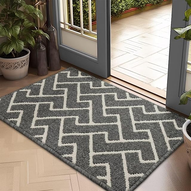 Biscpro Indoor Door Mats, 50 x 80 cm door mat non slip backing, Dirt Trapper Mat Absorbent Non-Slip Doormat for Entrance, Inside, Kitchen, Front Back Door, Pets and GardenGray