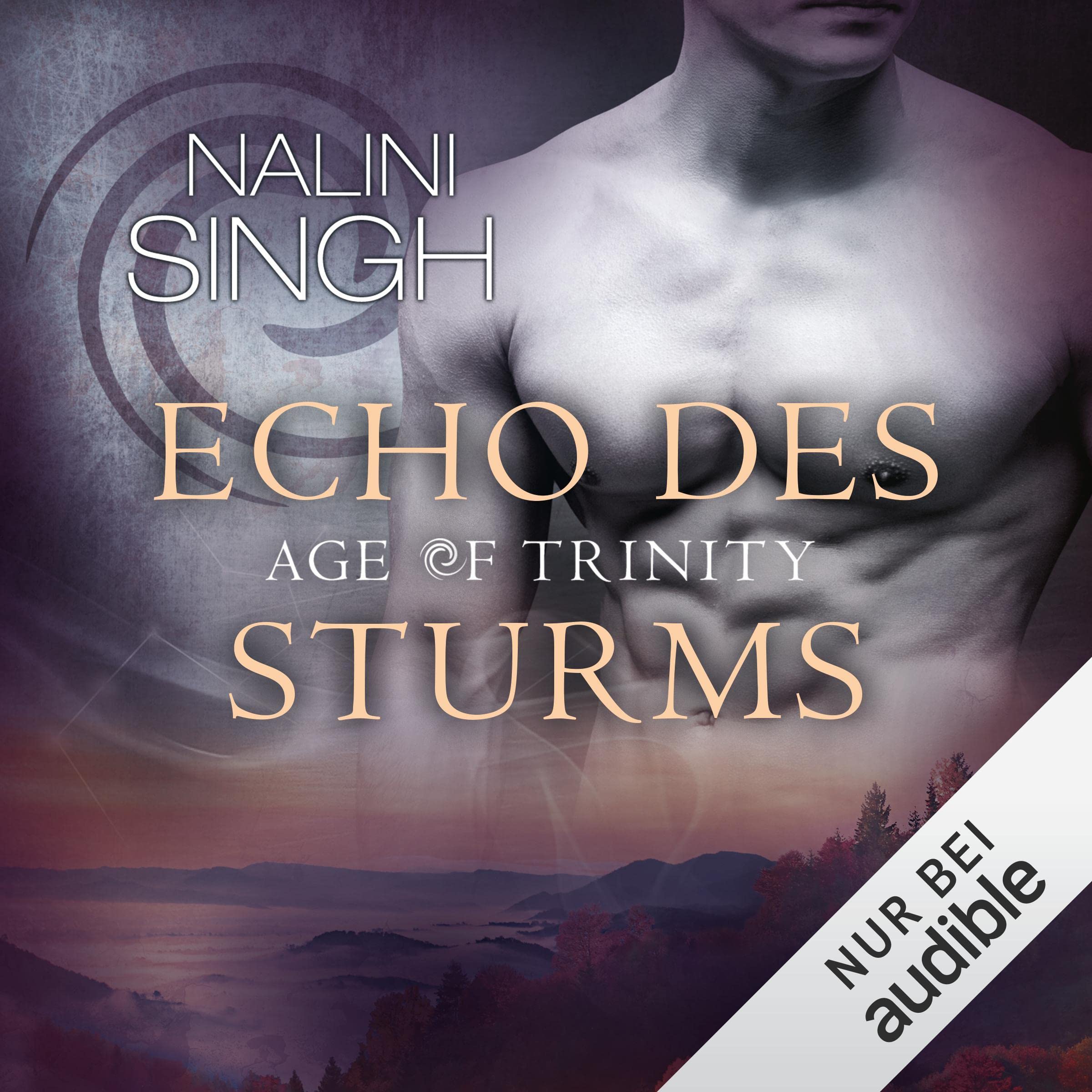 Cover art for Age of Trinity - Echo des Sturms