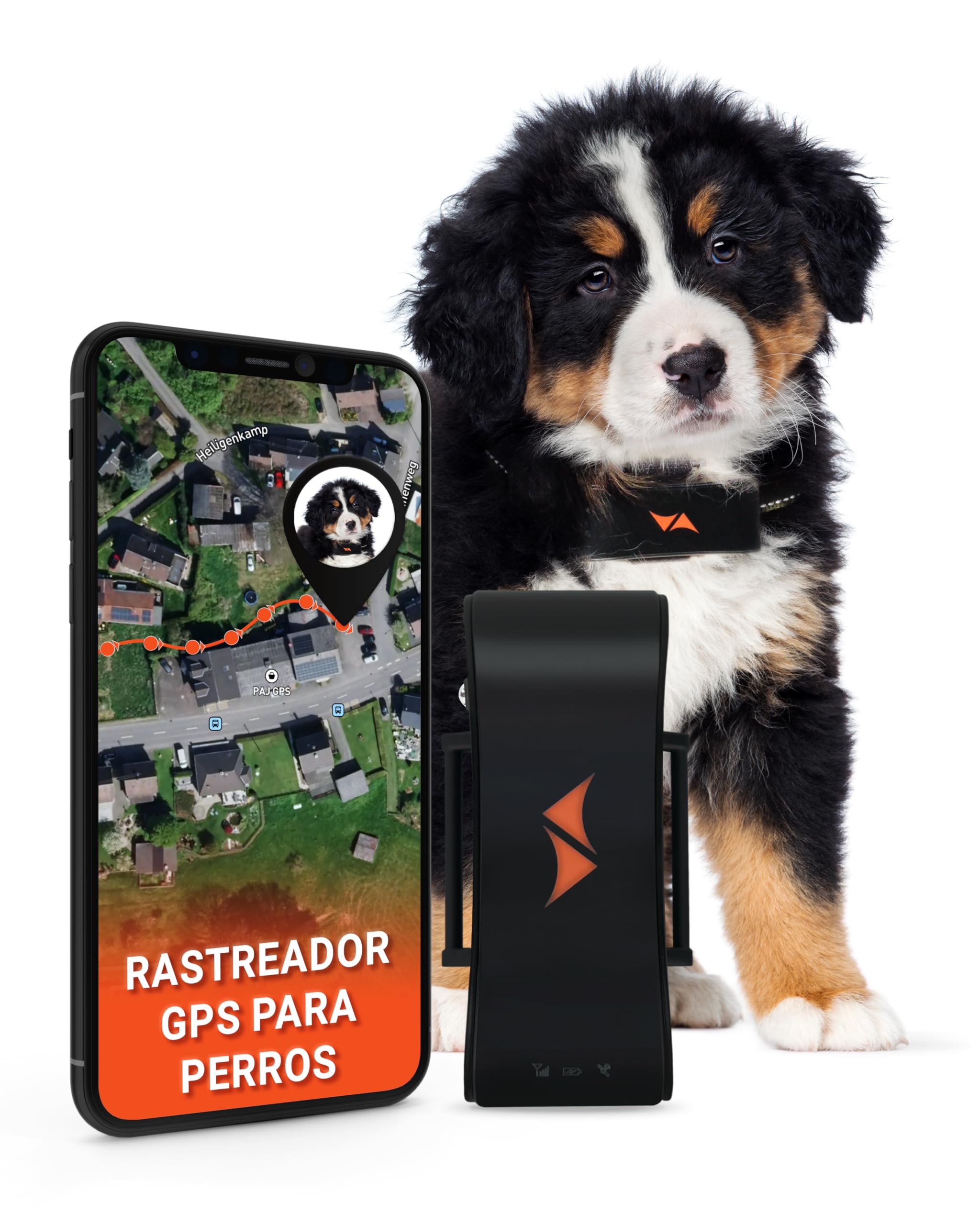 PAJ GPS para Perros - Alarma en Caso de Huida & Seguimiento en Vivo - WiFi-Home Ahorra batería- señales auditivas- Luces LED - Resistente al Agua (IP67) - para Todos los Collares